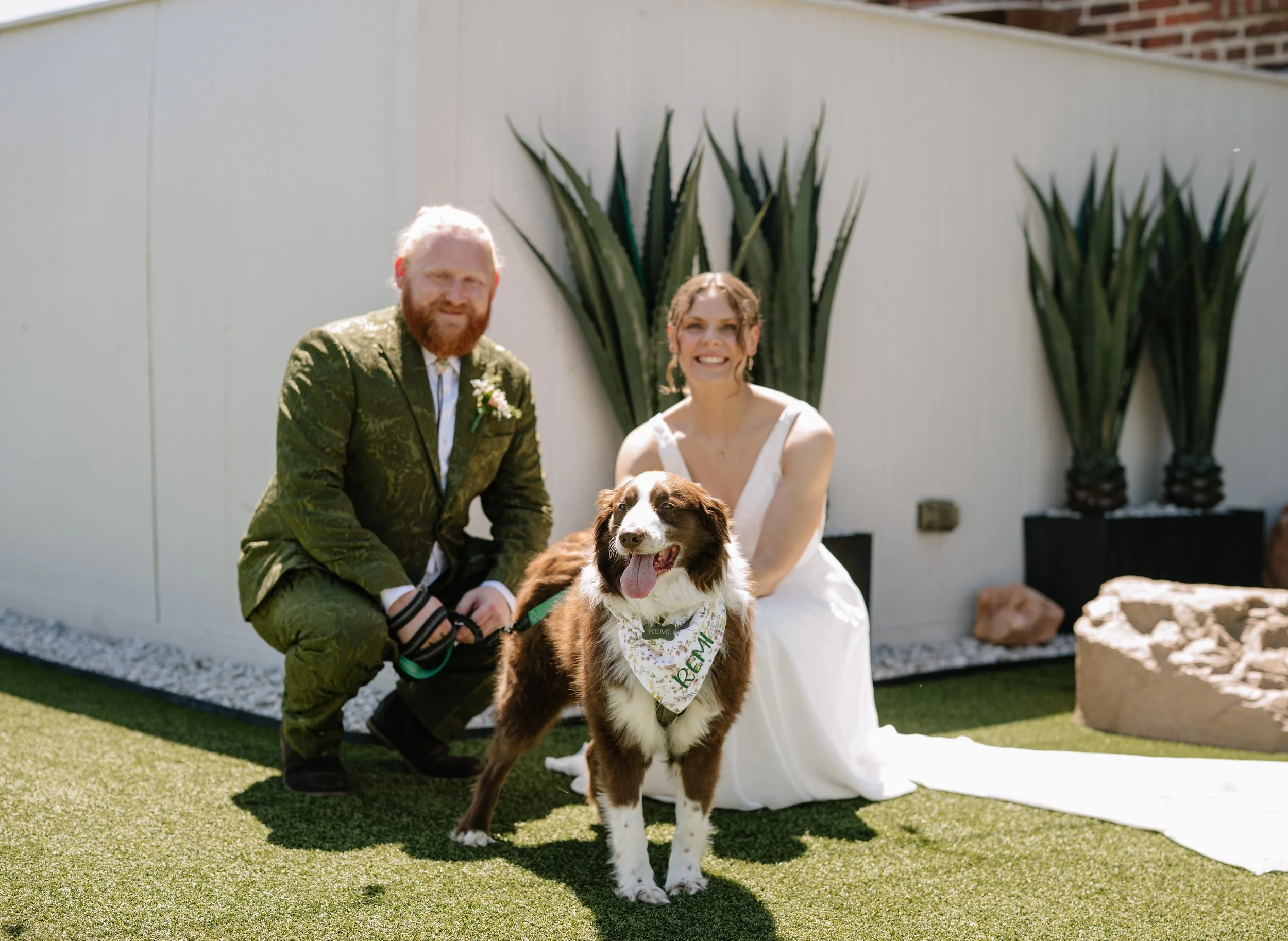 A dog wearing a bowtie and bandana with the name 'Remi' stands in front of a woman in a white dress and a man in a camouflage suit, both smiling. They are outdoors with large aloe vera plants behind them and a white wall.