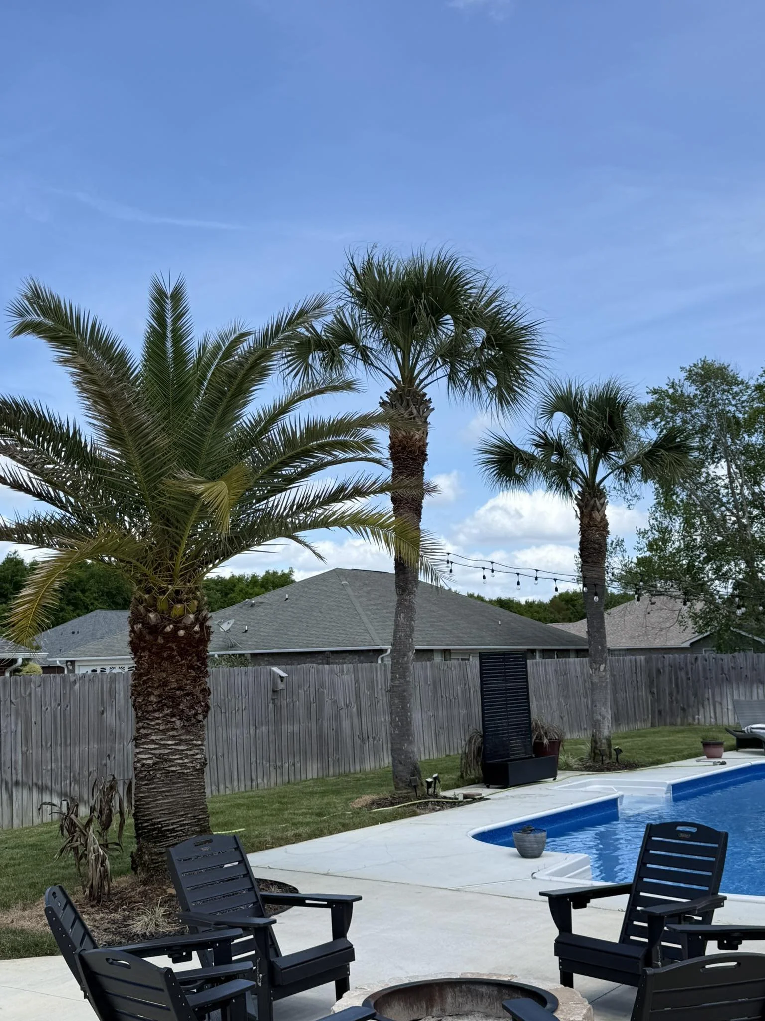 A backyard with palm trees, a swimming pool, outdoor chairs, and a wooden fence under a partly cloudy sky.