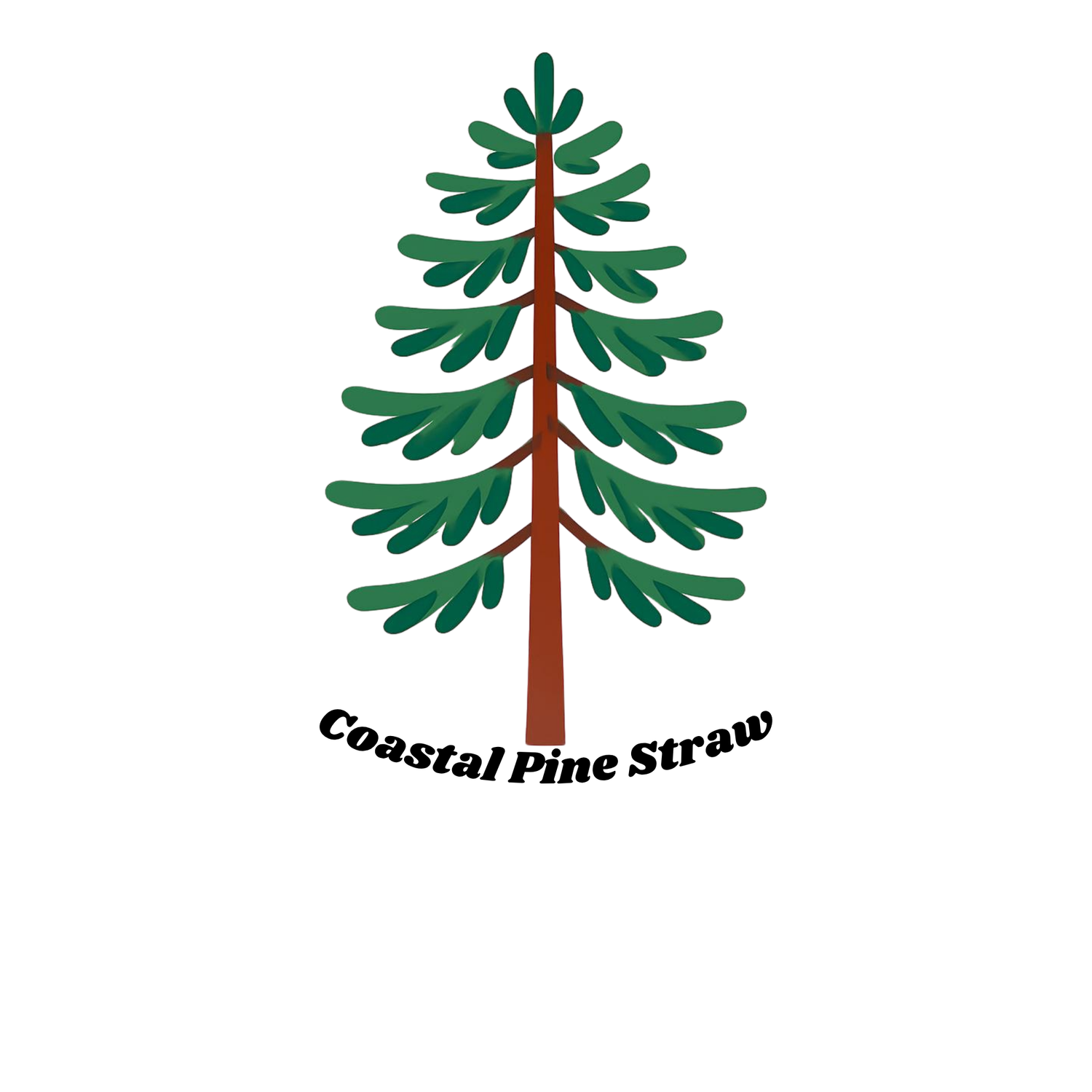 Coastal Pine Straw