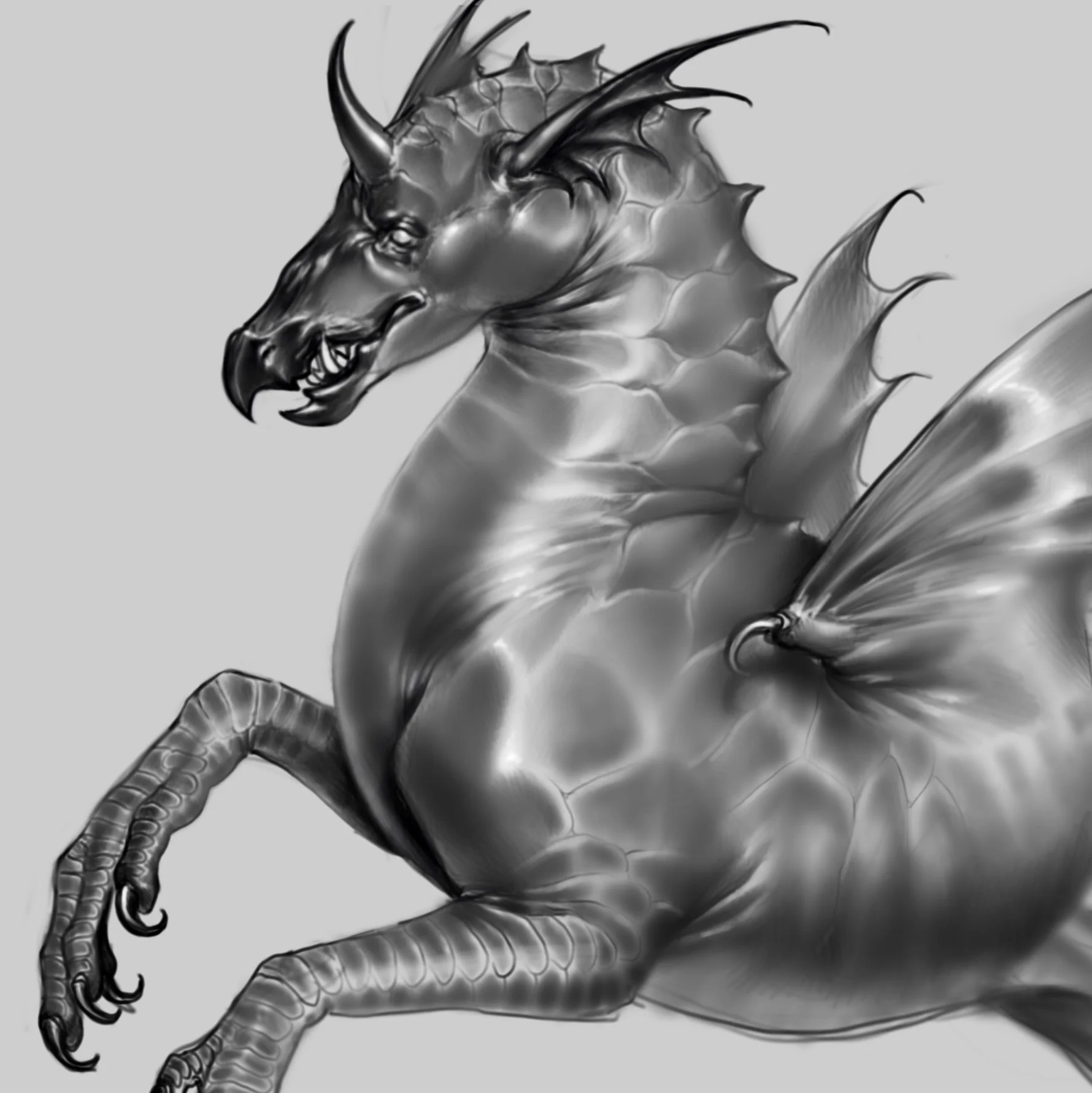 Sea Horse Dragon