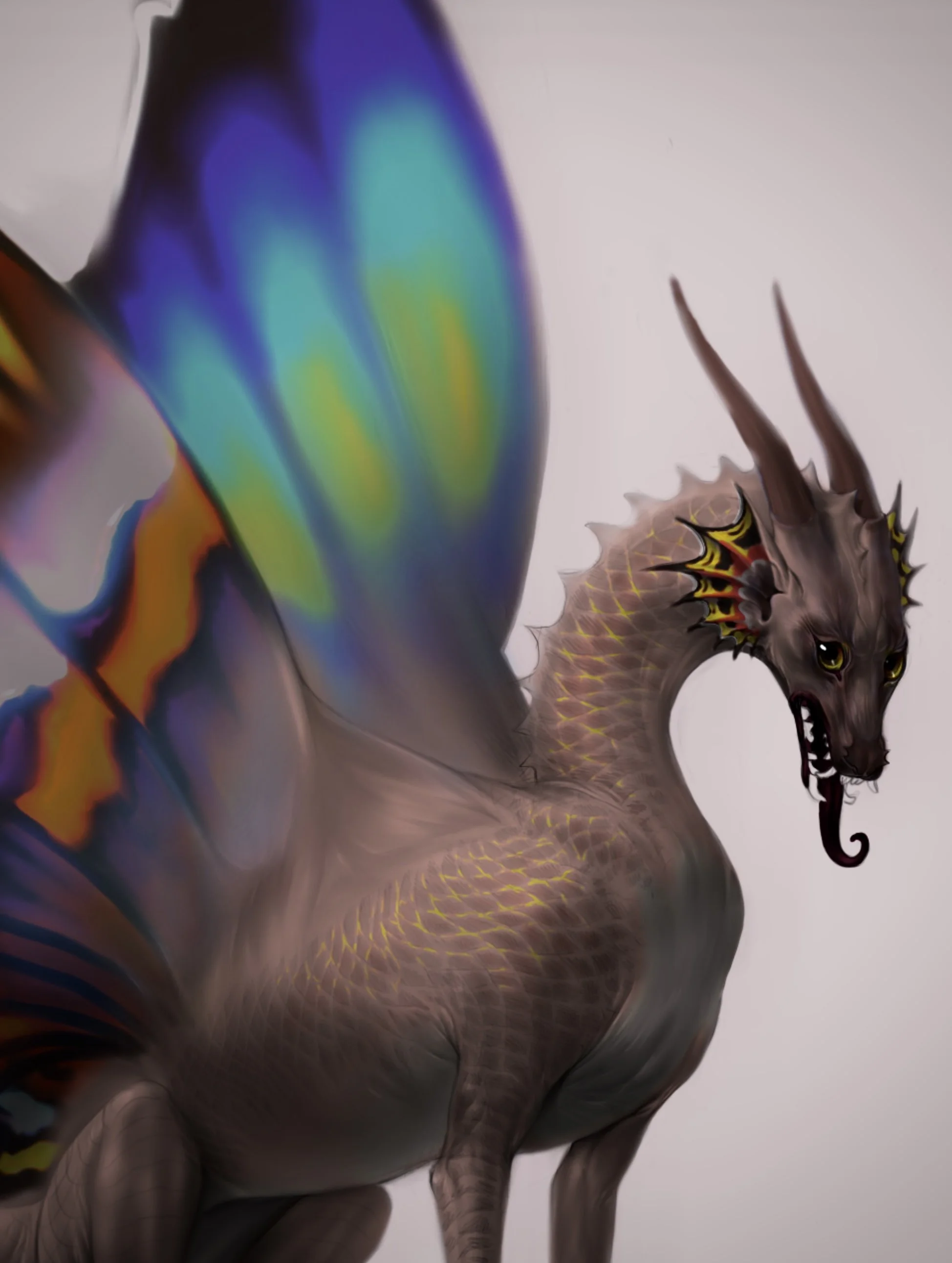 Butterfly Dragon
