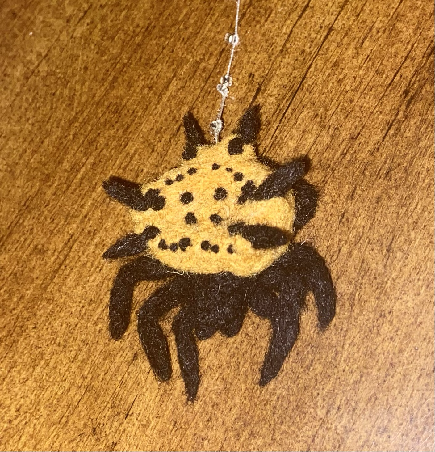 Orb spider