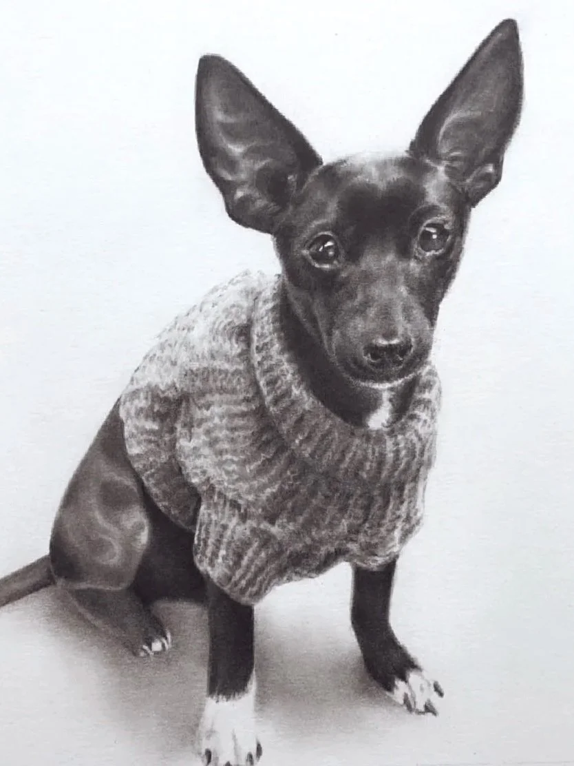 Bean in Sweater
