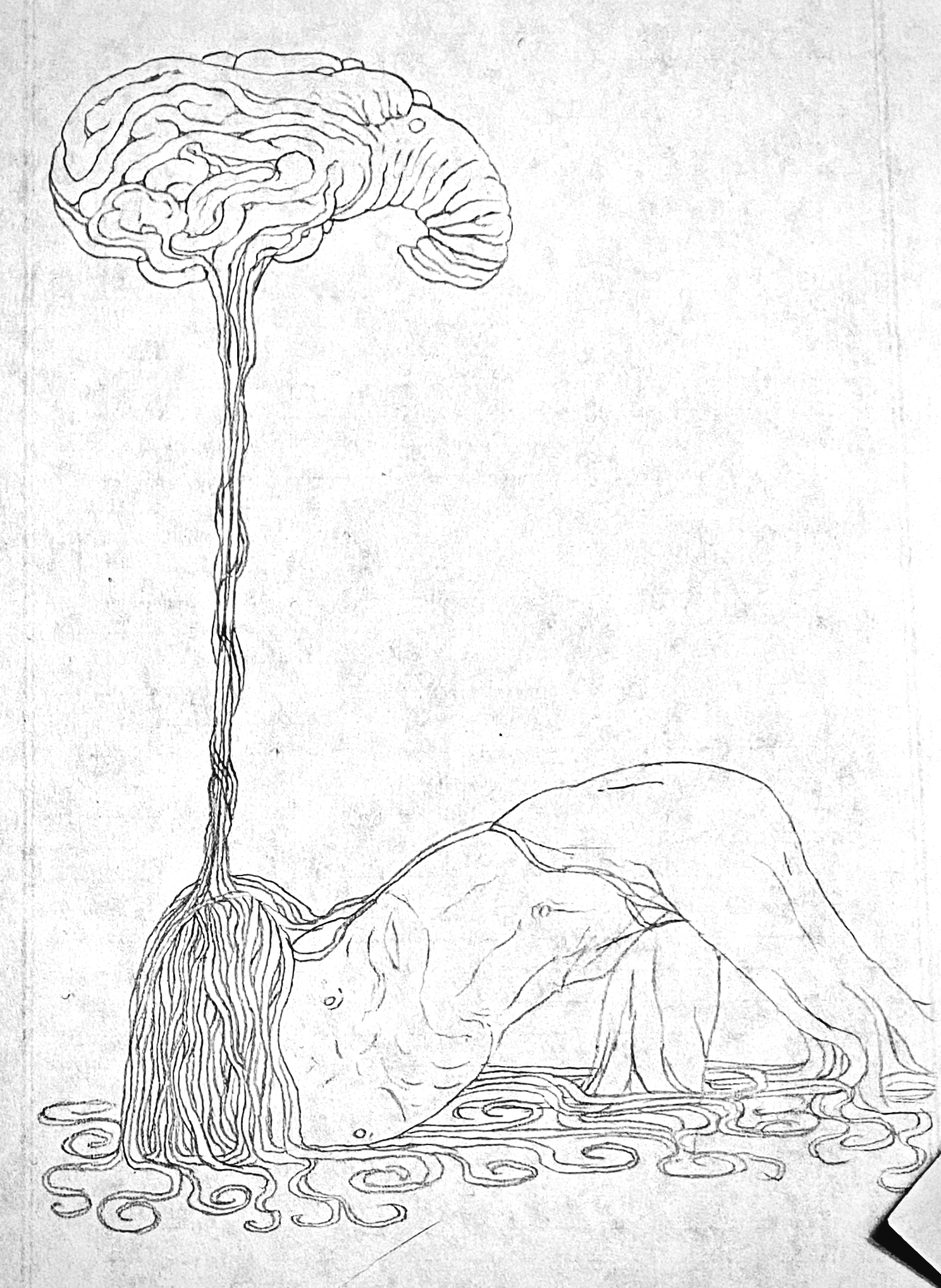 Umbilical Cord