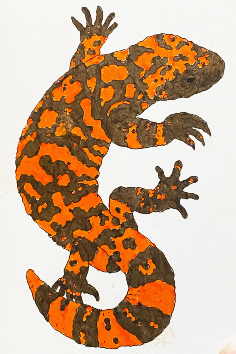 Gila Monster