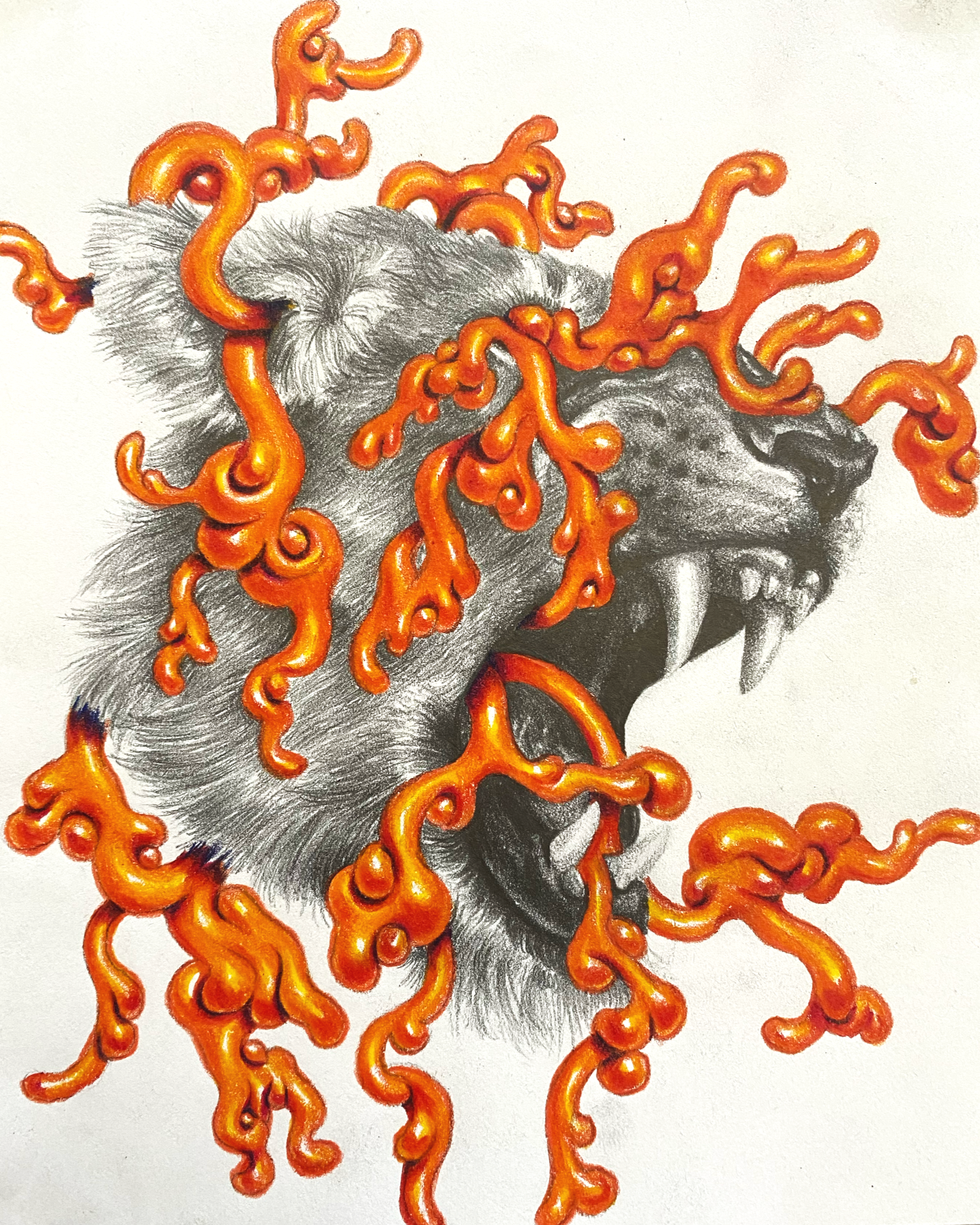 Orange Lioness