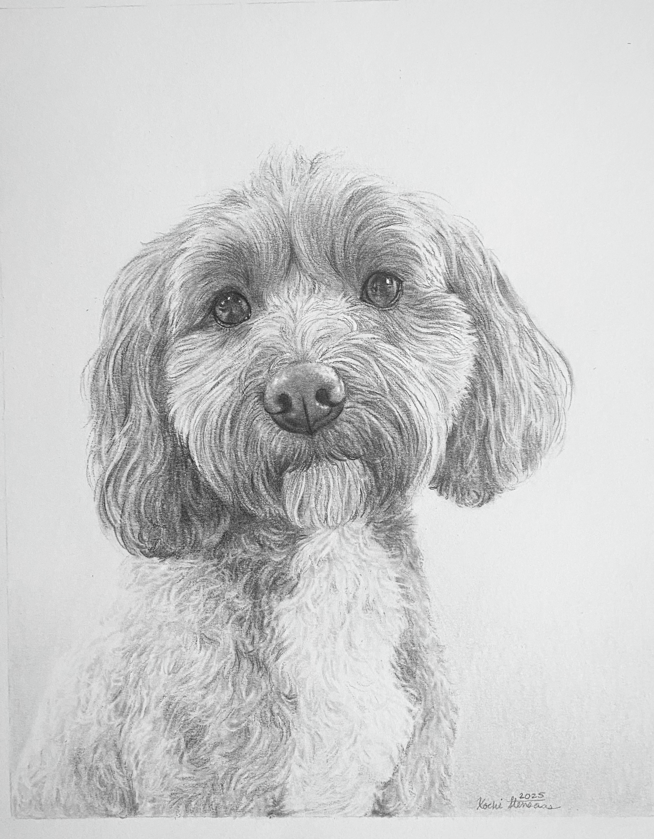 Dog Portrait