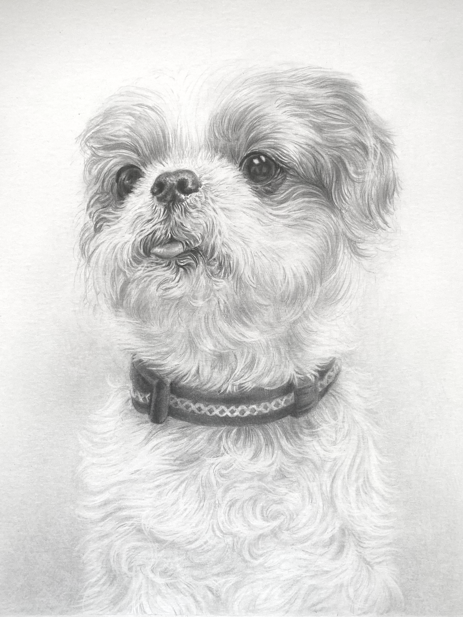 Commissioned Portraits