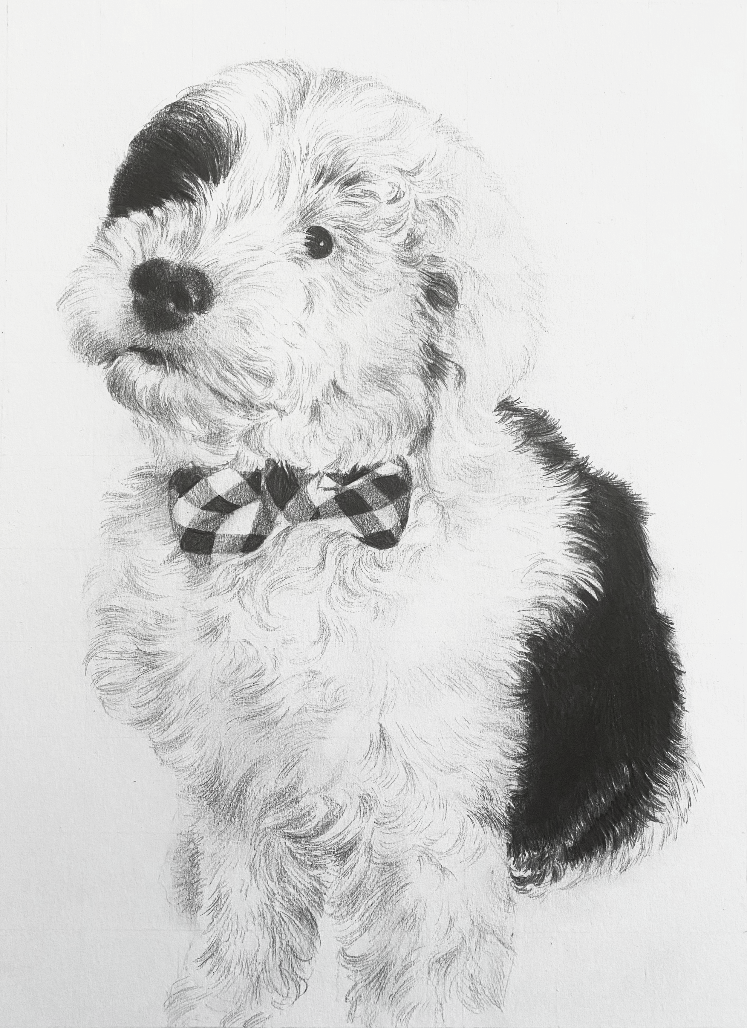 Puppy Portrait