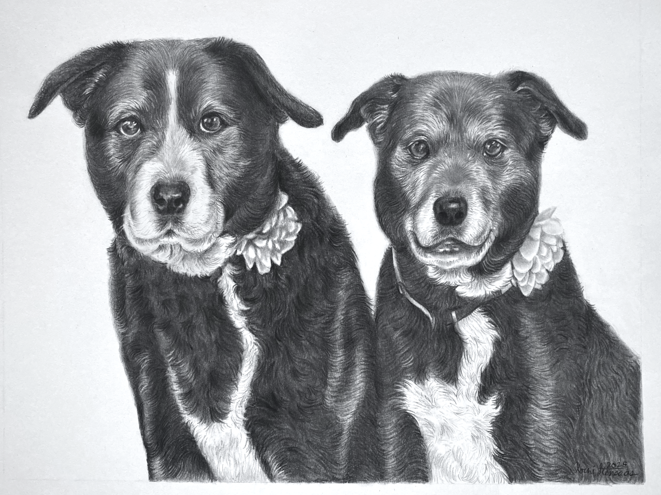 Lola & Mable