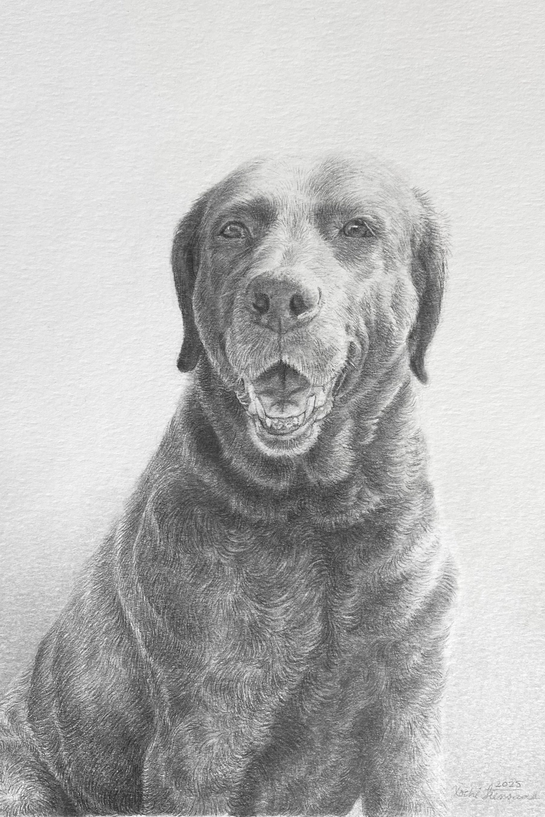 Dog Portrait