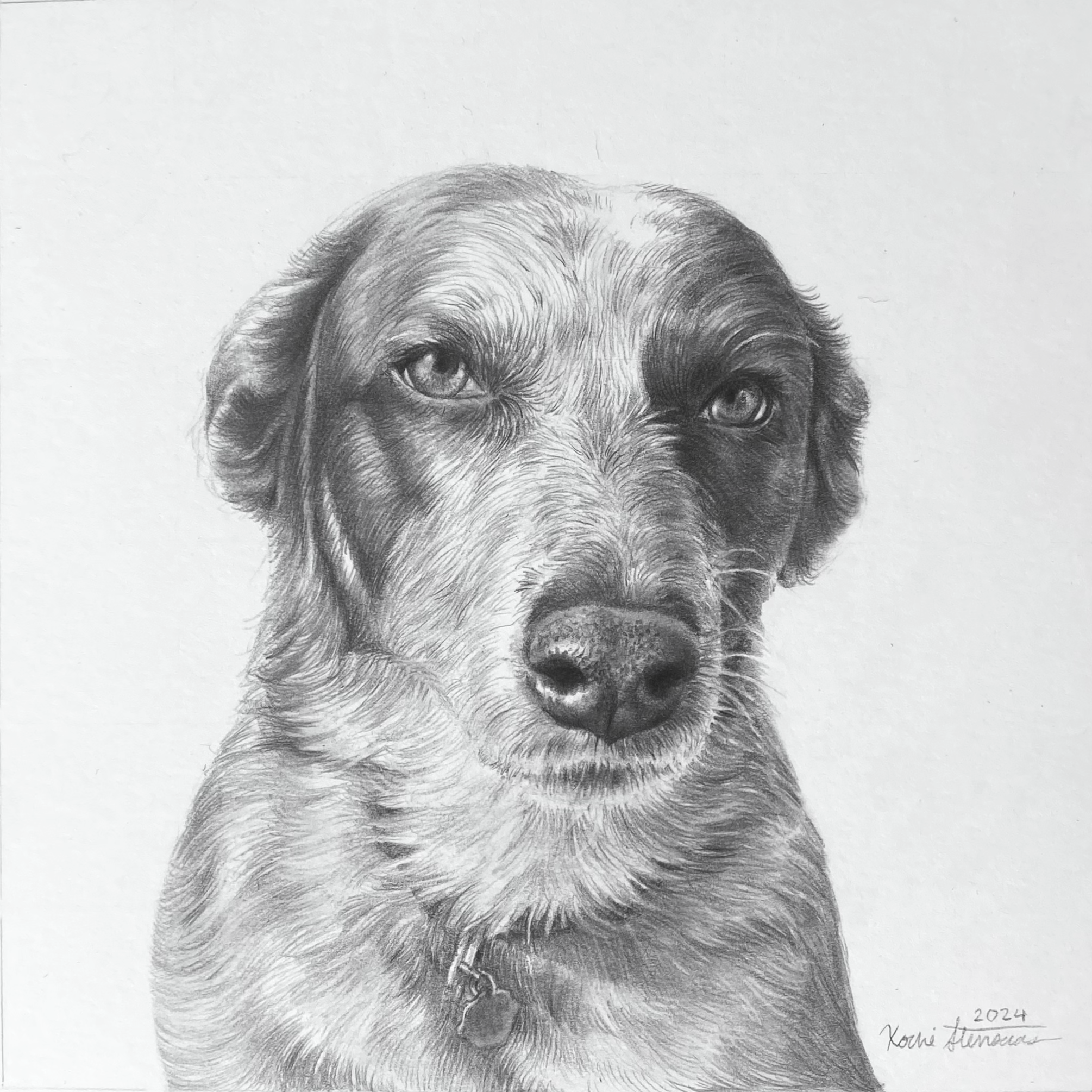 Dog Portrait
