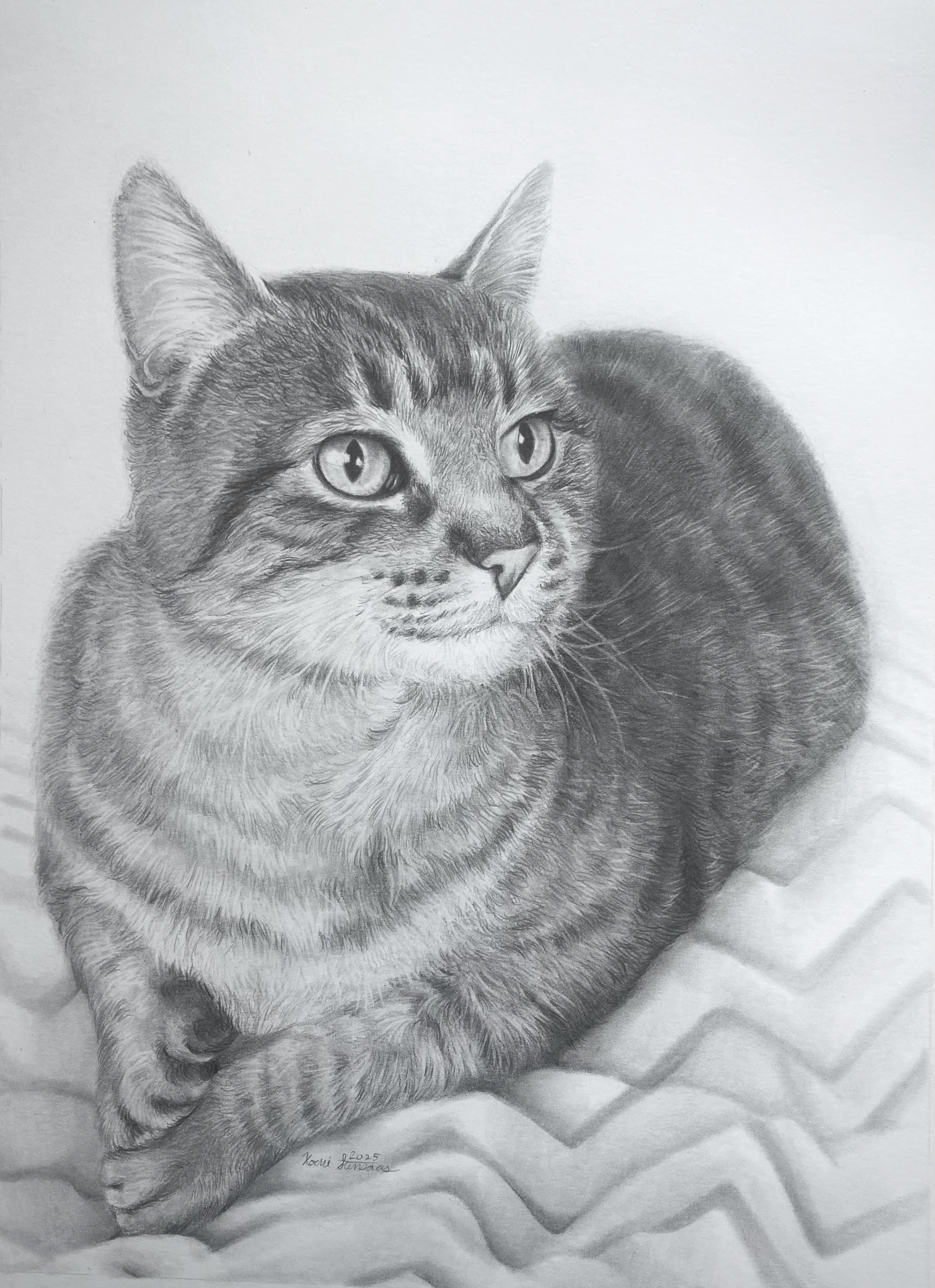 Cat Portrait
