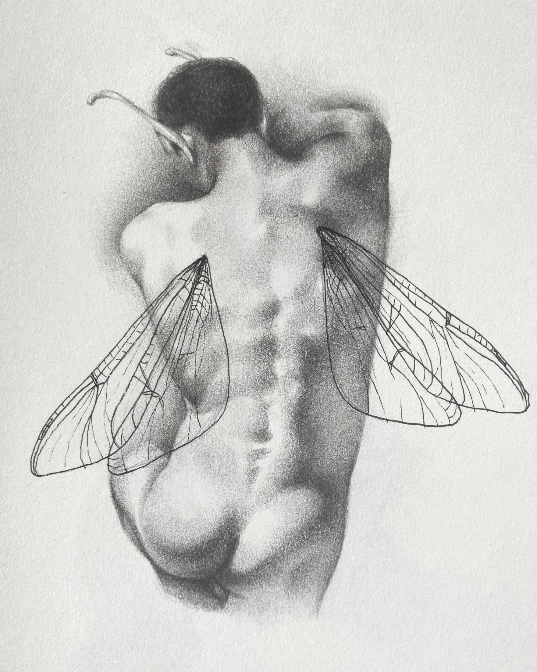Fairy Back