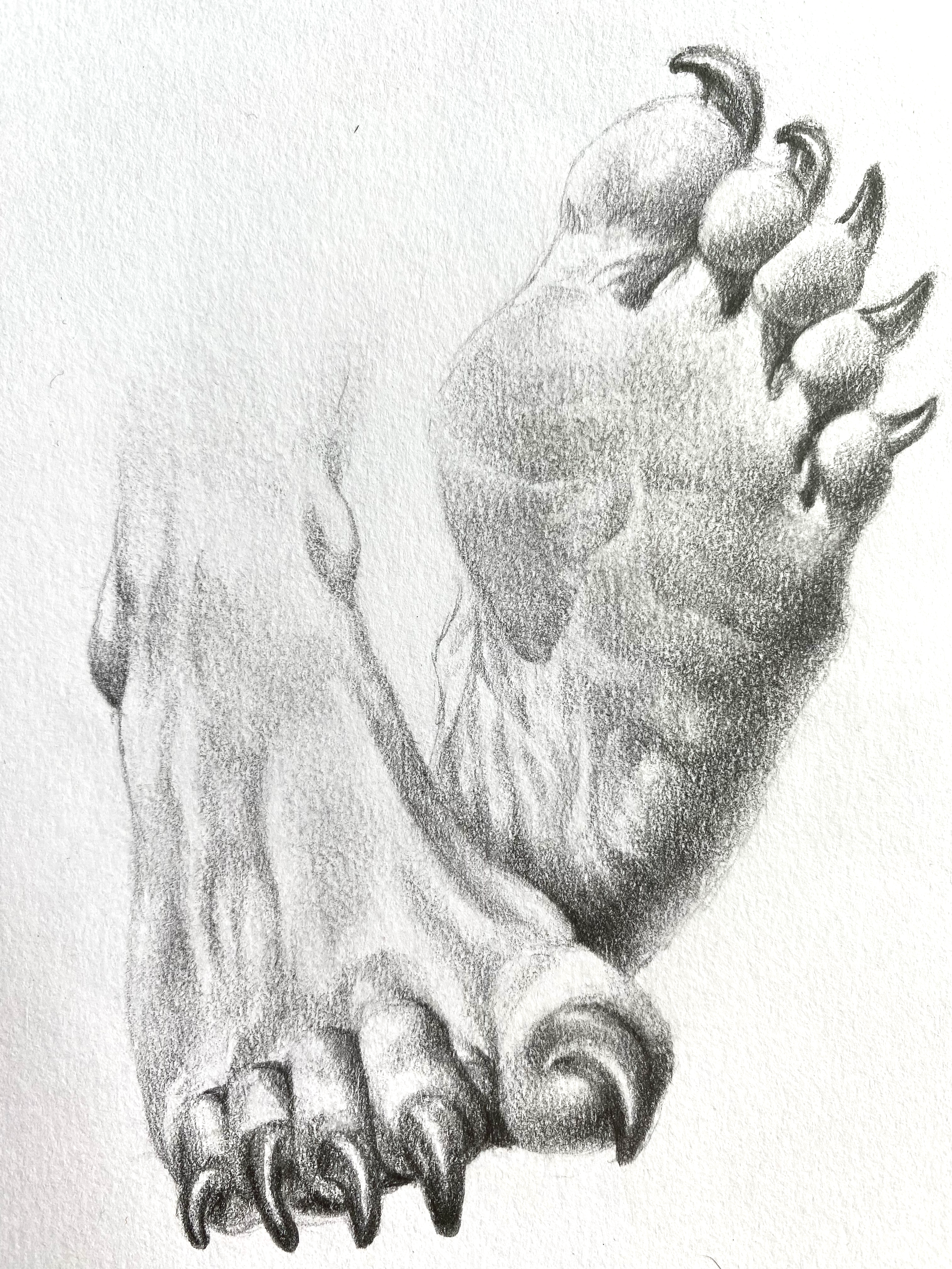 Demon Paws