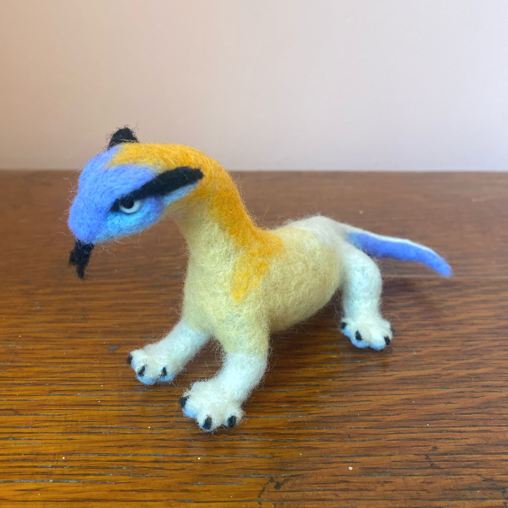 Blue headed lizard-ferret