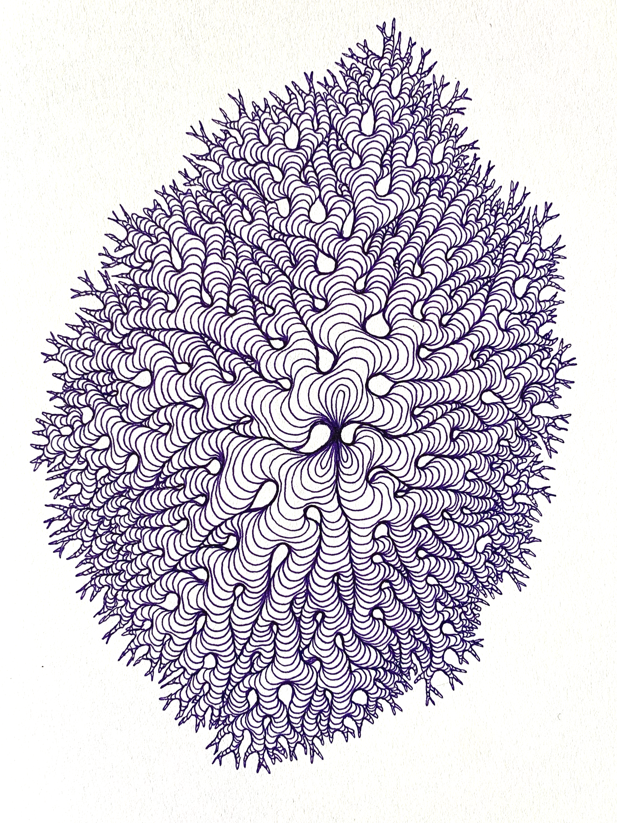 Purple Coral