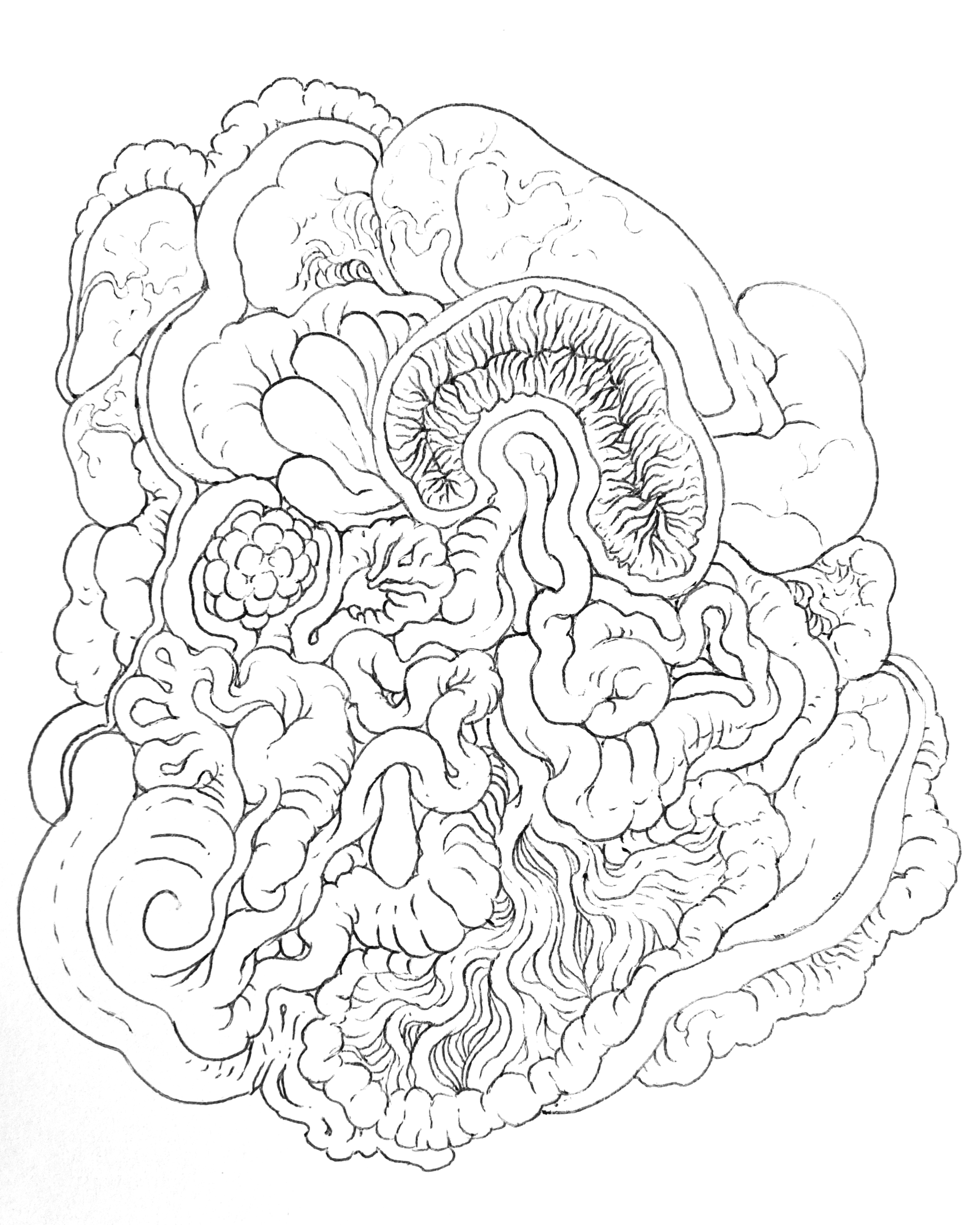 Organic Ink Drawing