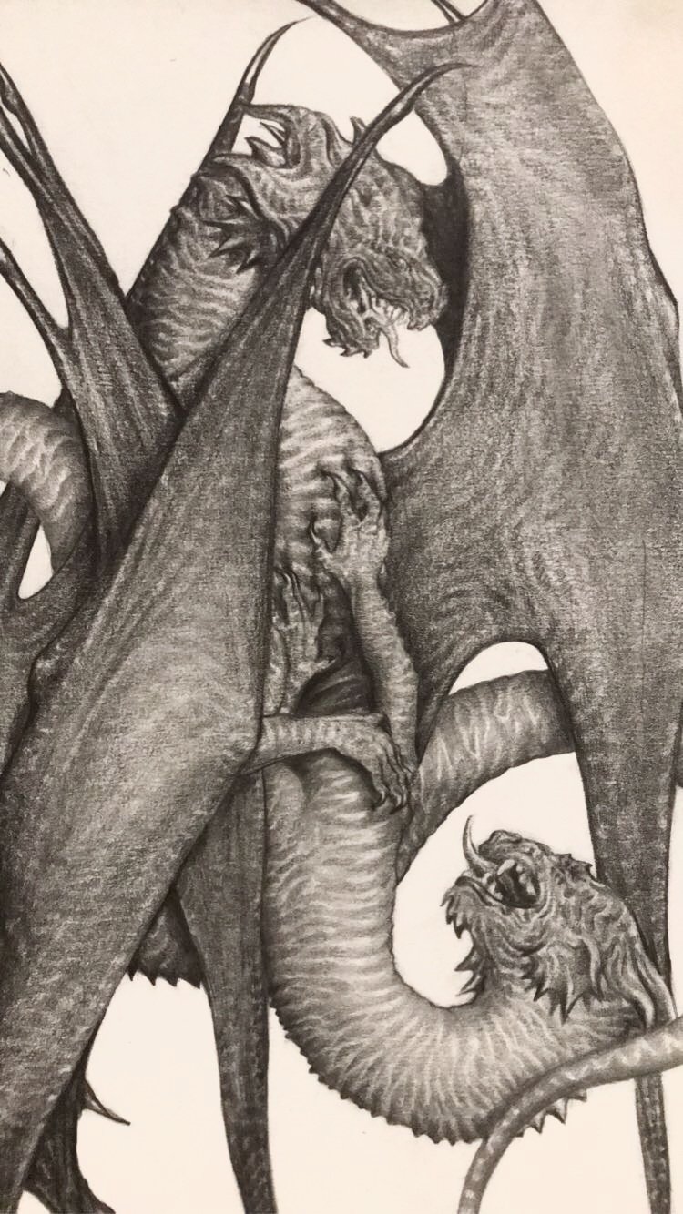 Dragons Fighting
