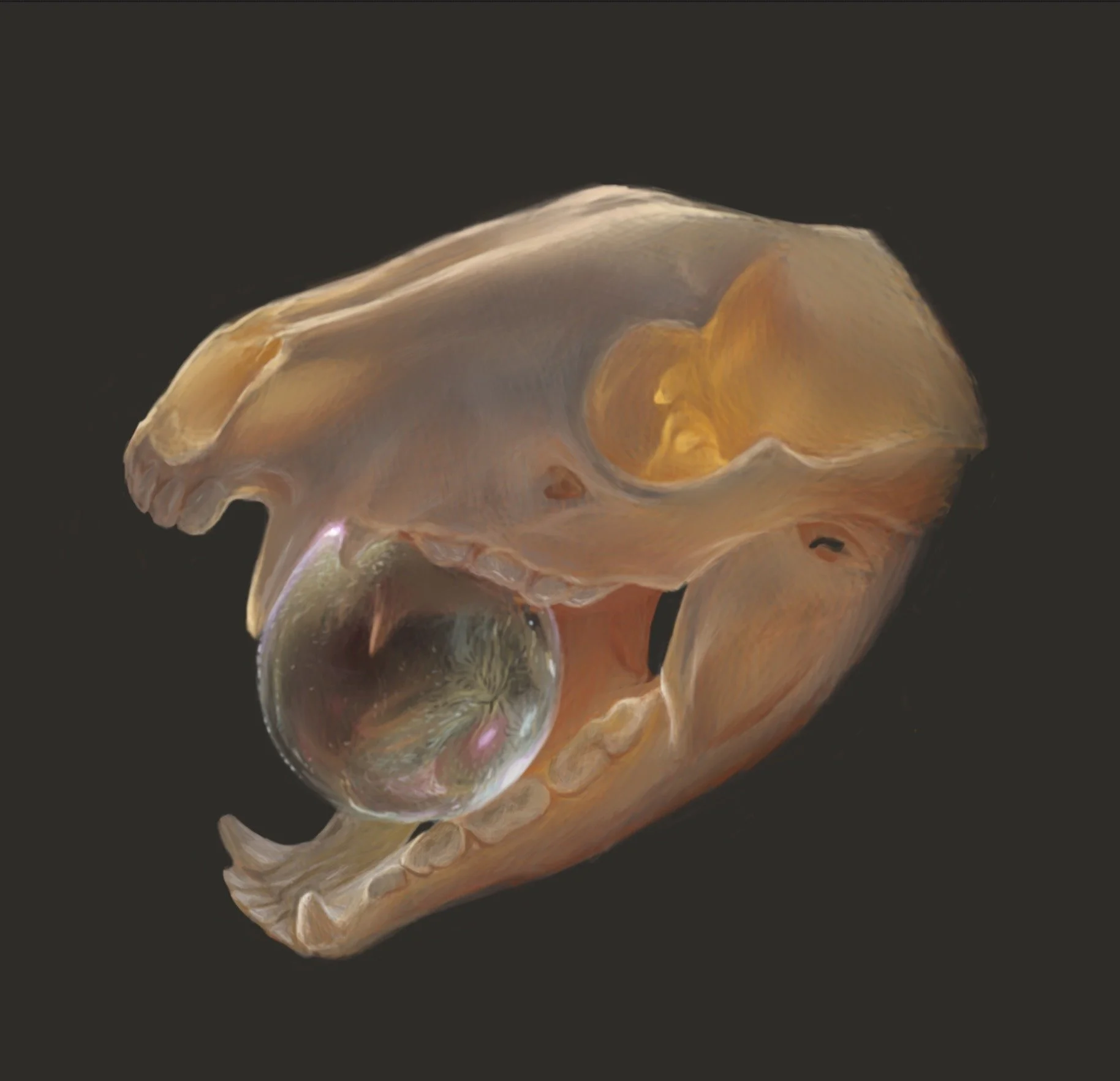 Skull and Orb