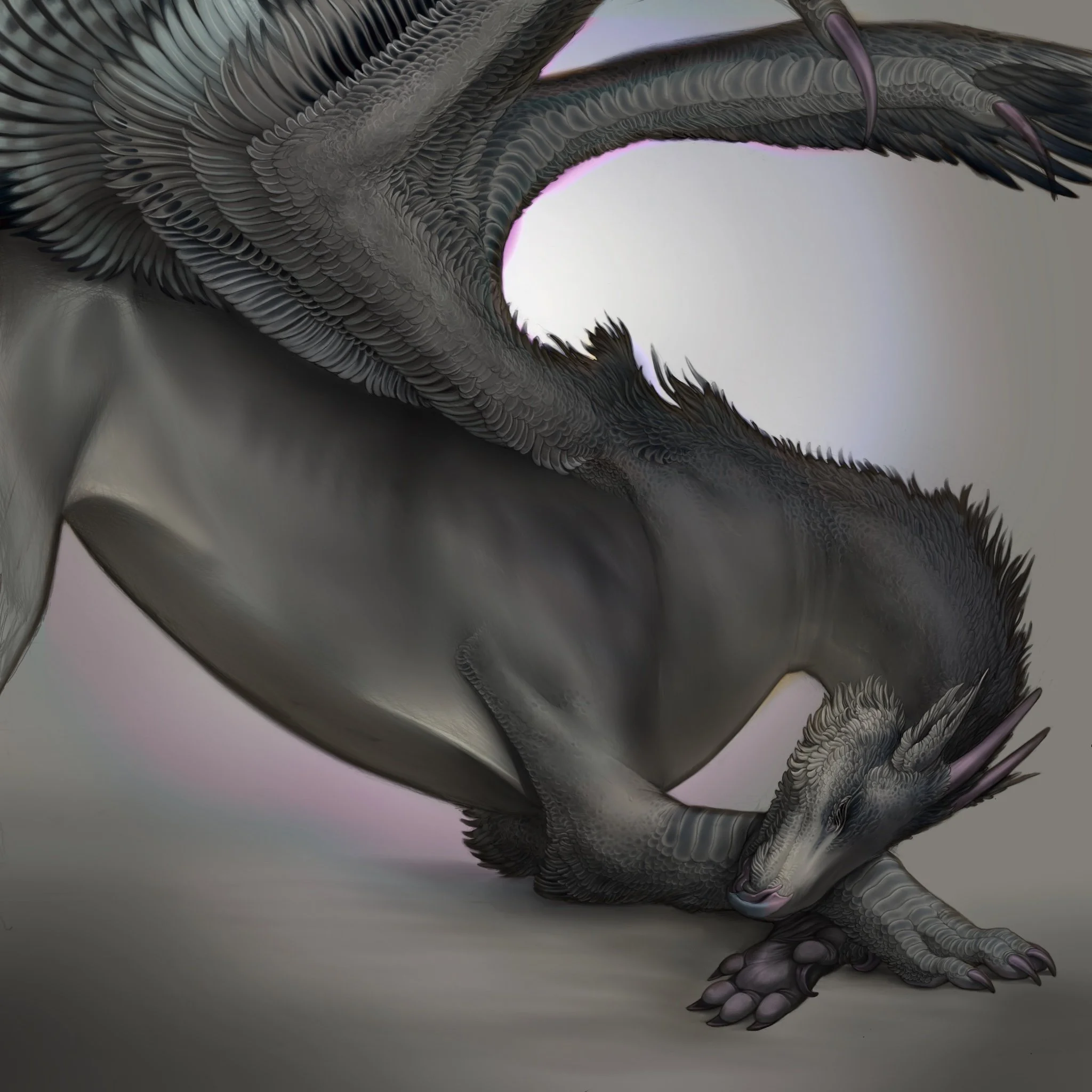Feathered Dragon