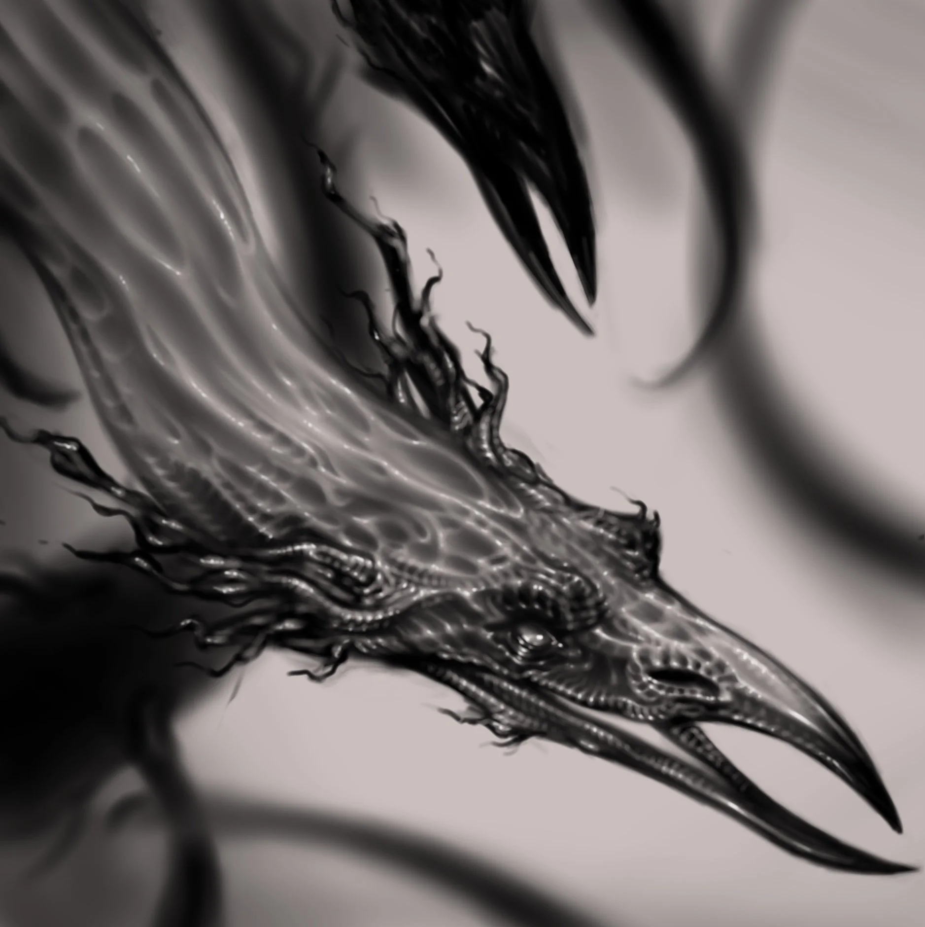 Raven Dragon