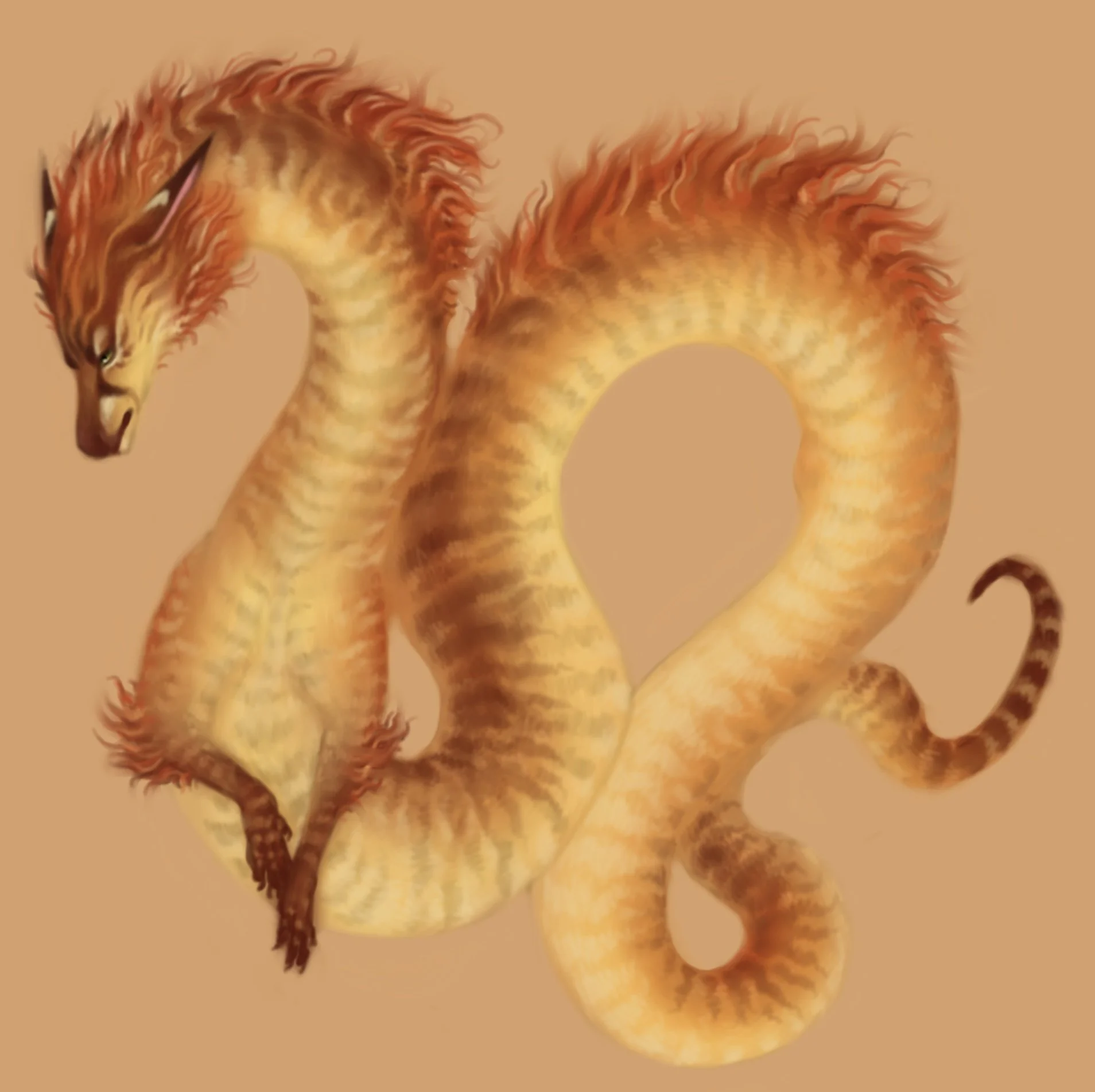 Fire Dragon