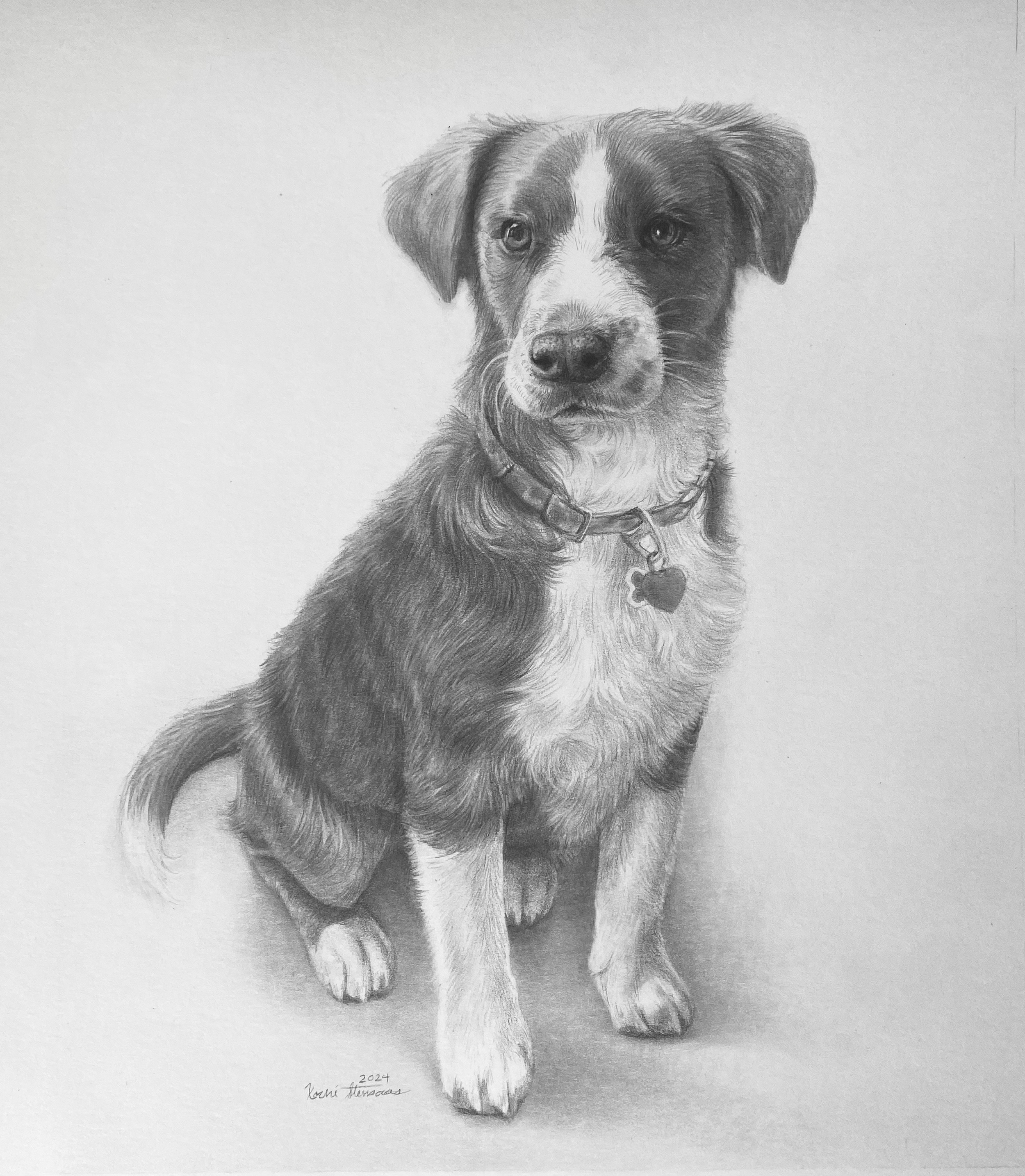 Puppy portrait