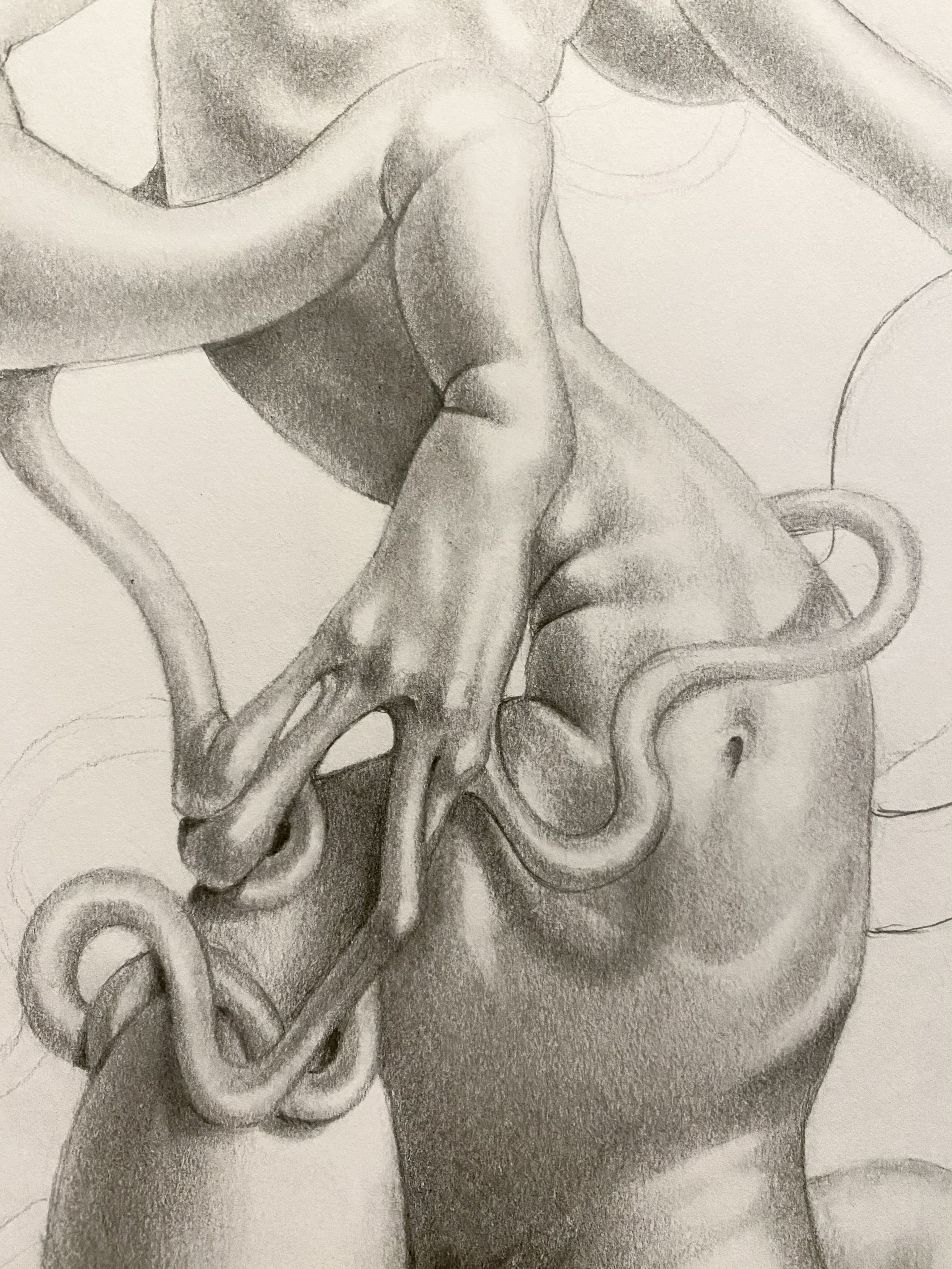 Fingers