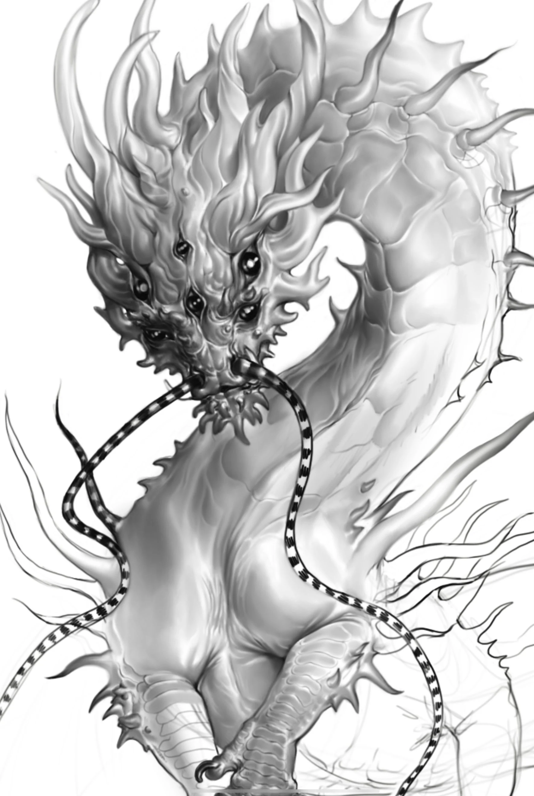 Spider Dragon