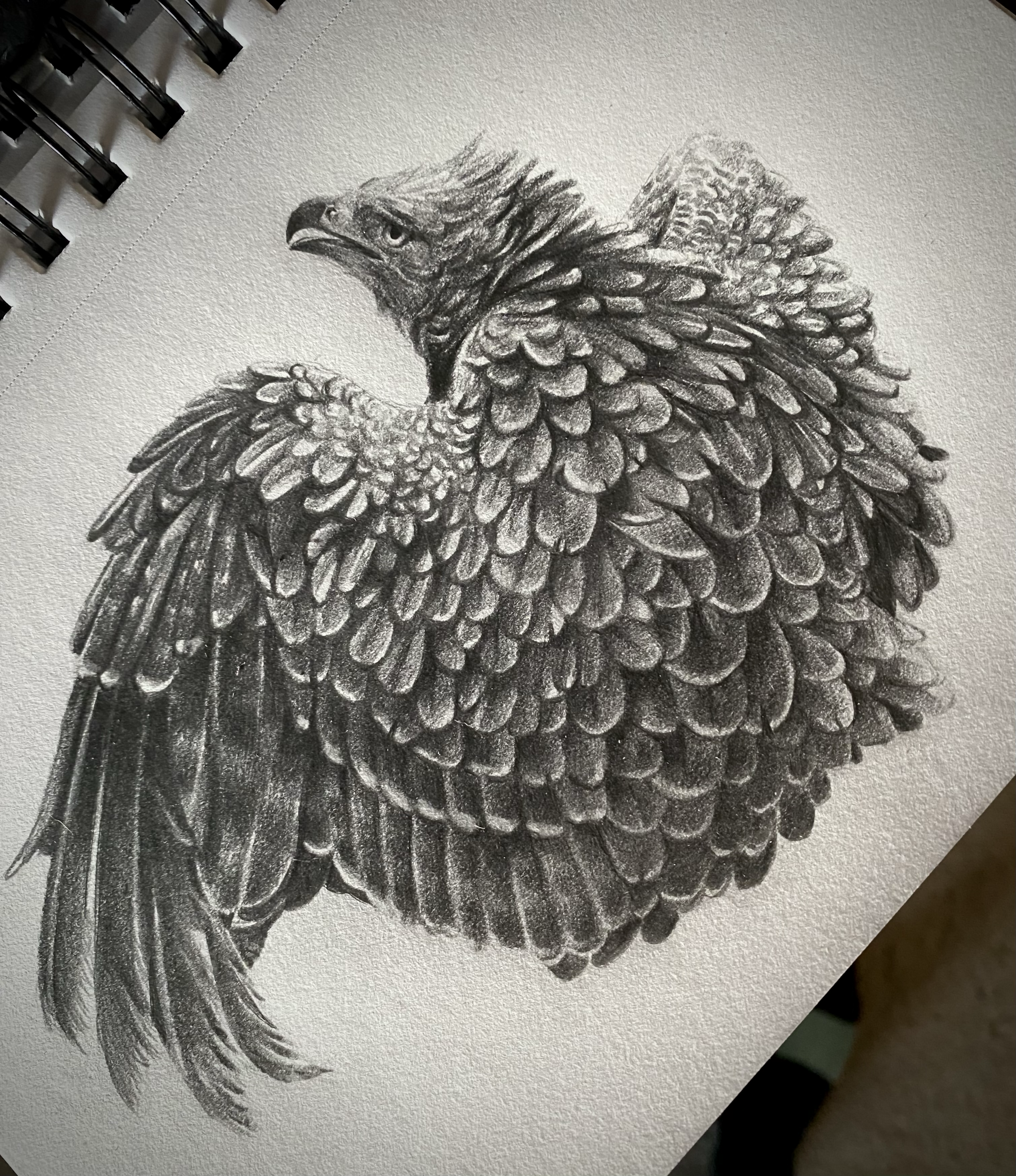 Eagle
