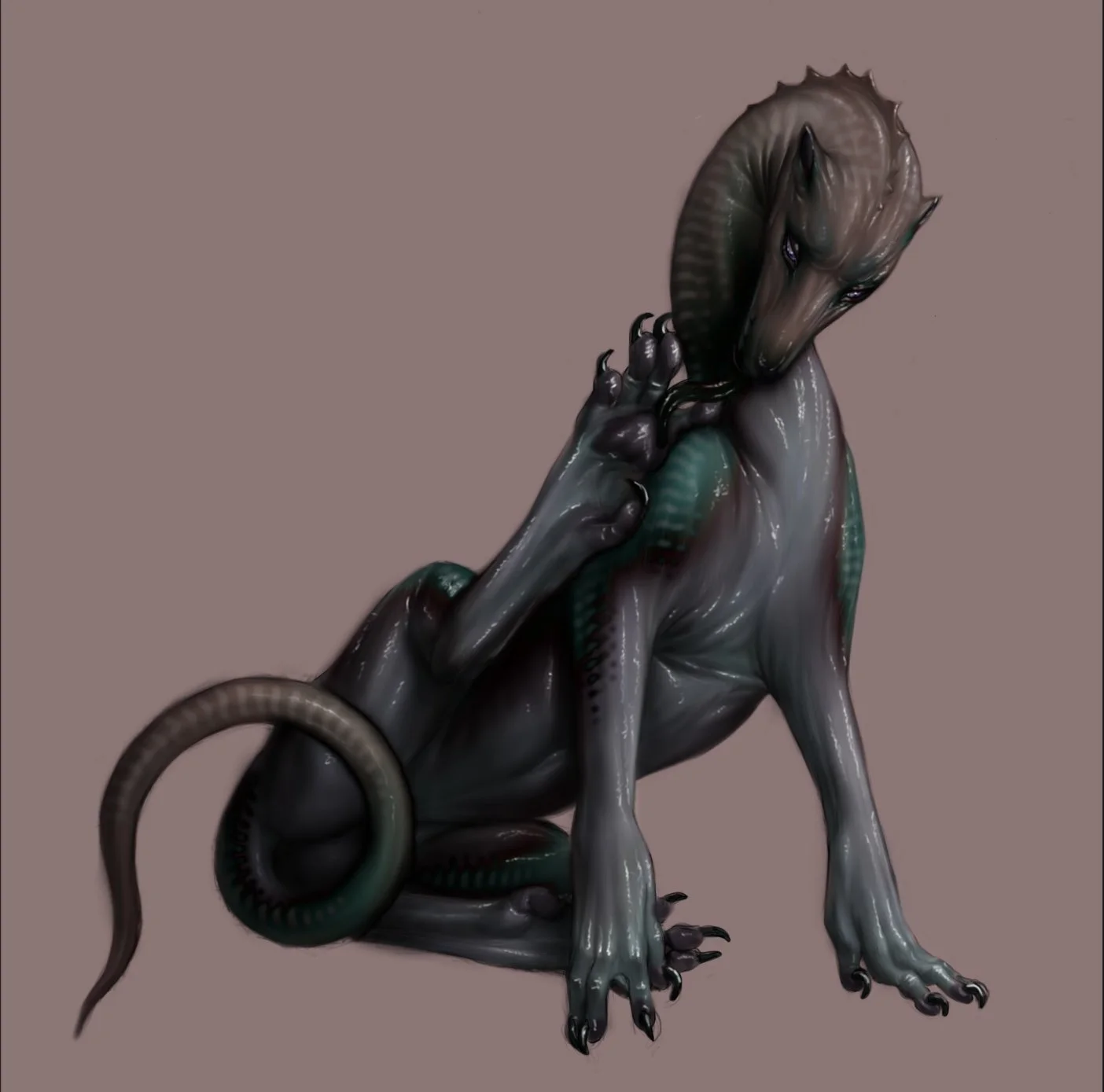 Dark Drake