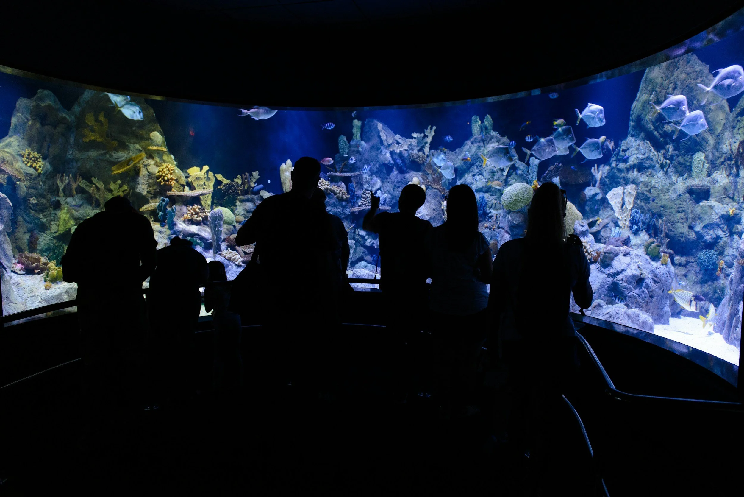 Academic Field Trips And Tours Llc