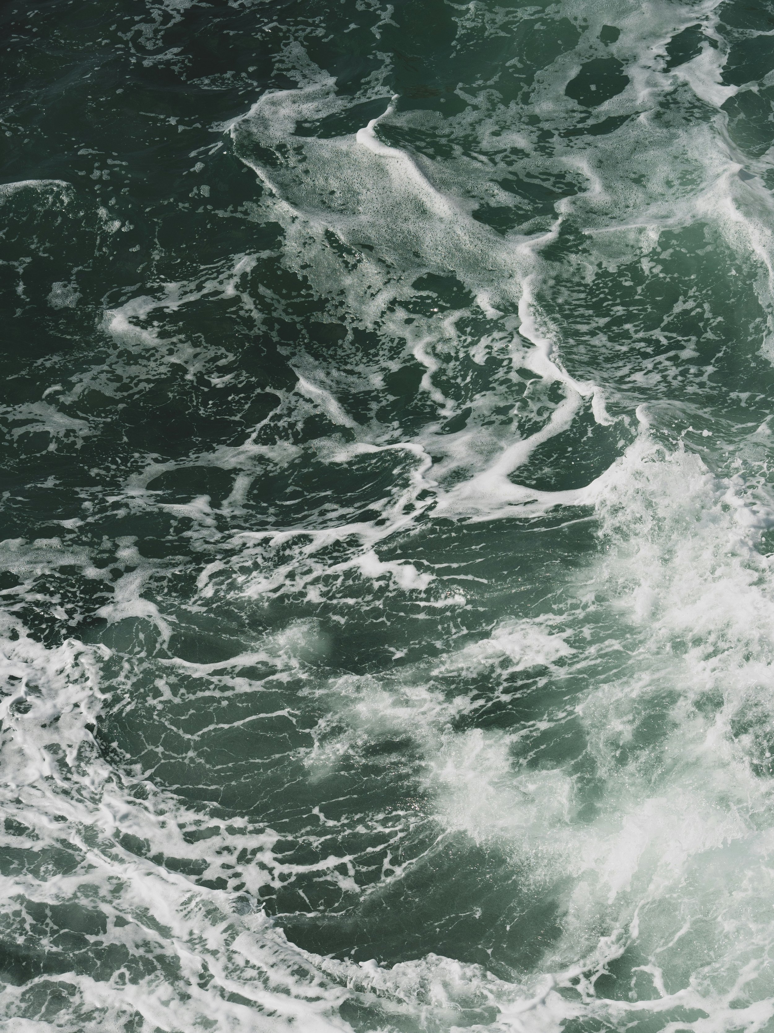 Choppy waves in the middle of the ocean lets calm them down by talking to Shannon Jensen-Best