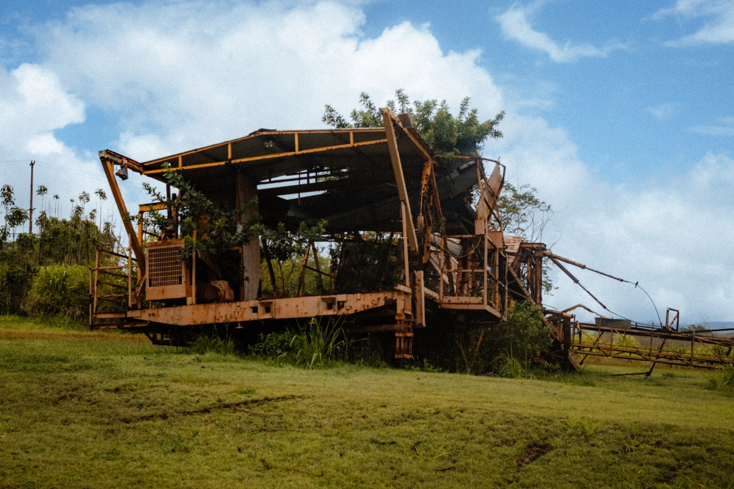 DSCF0942.JPG