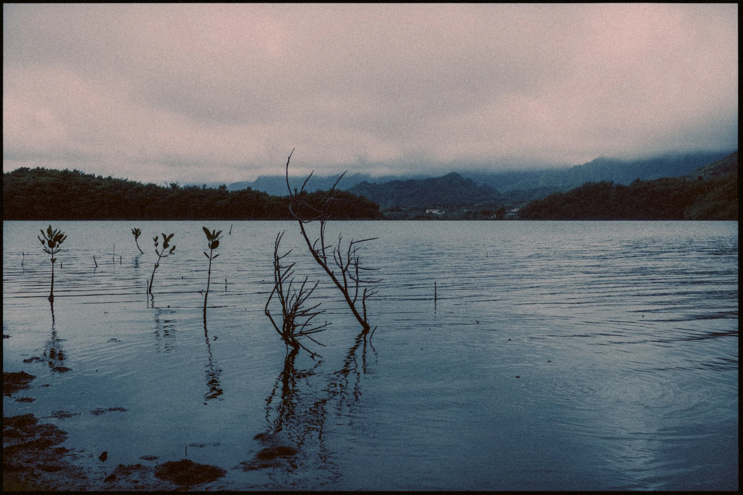 DSCF1150.JPG