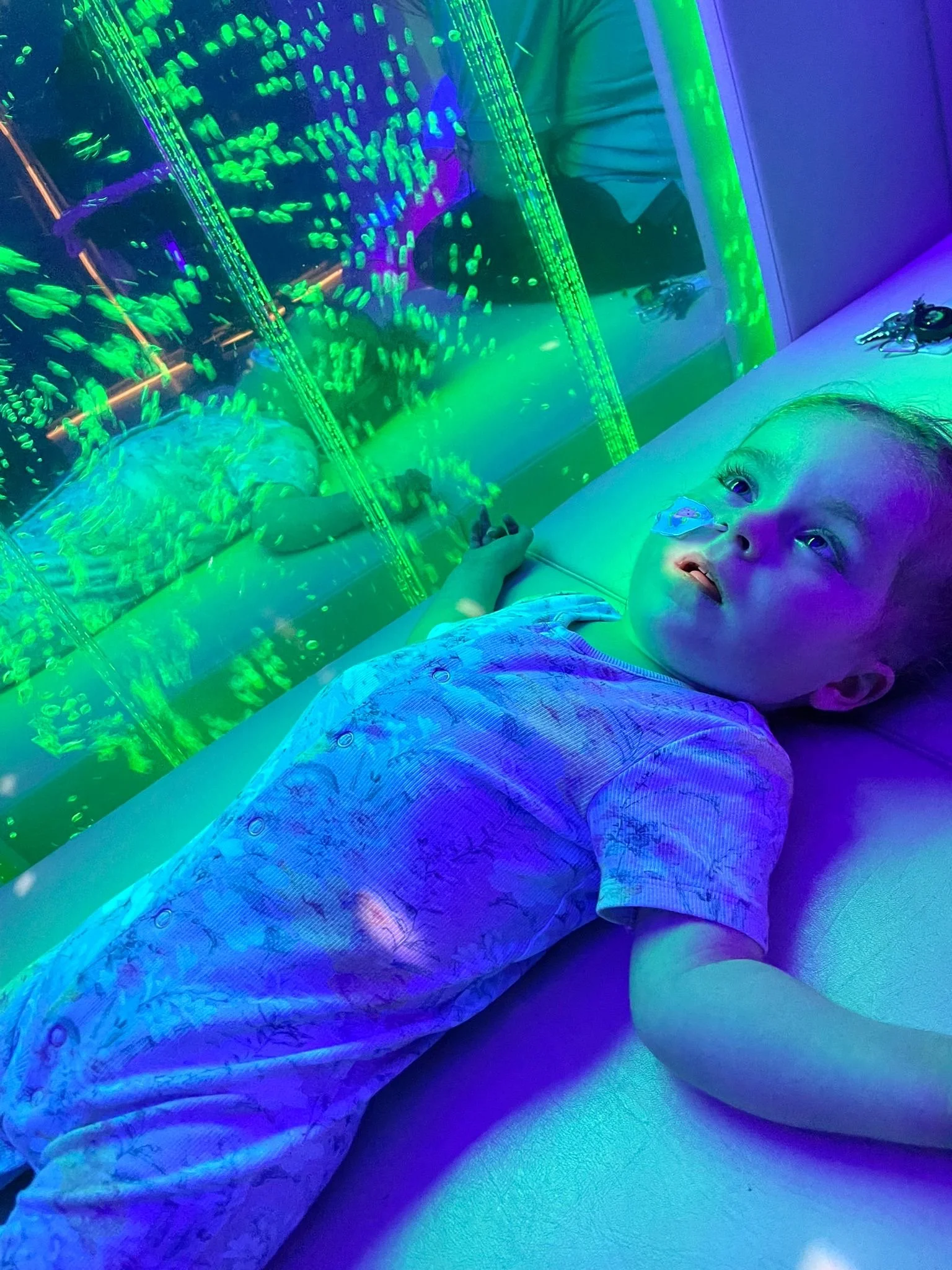 8729d4b0-fc6b-4f61-b0ae-0a630dad7213.JPG