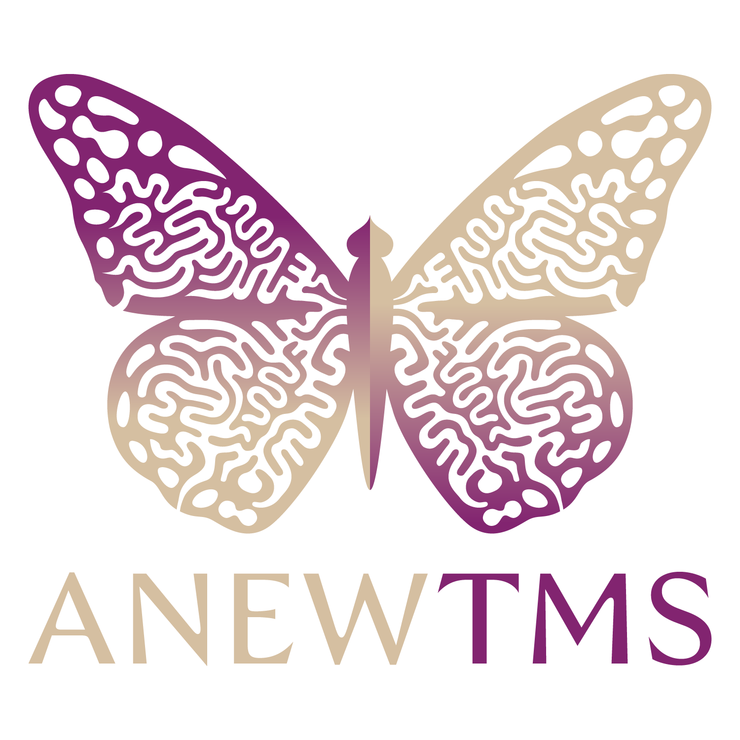 Anew TMS