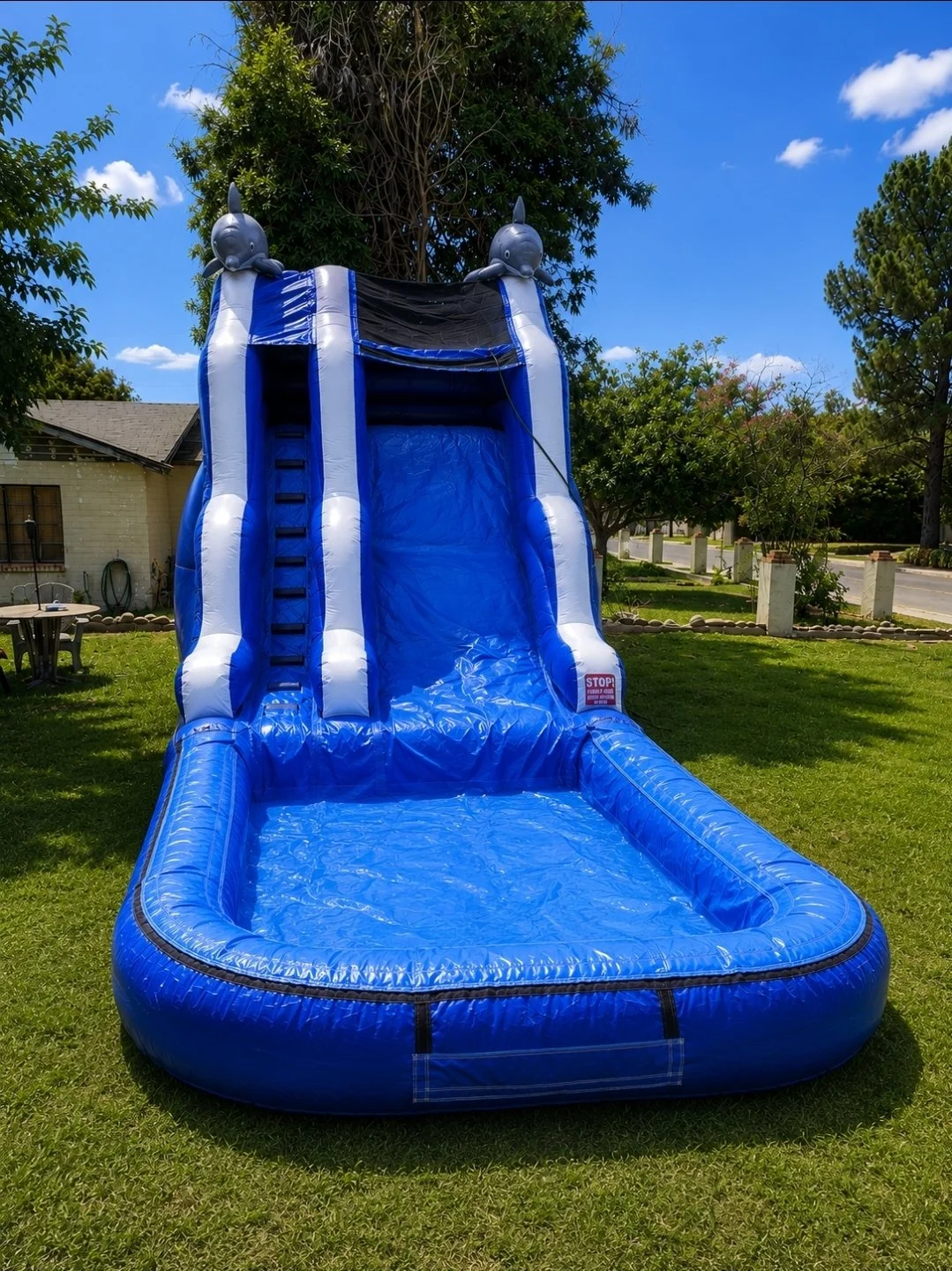Water Slide Rentals in Phoenix, AZ