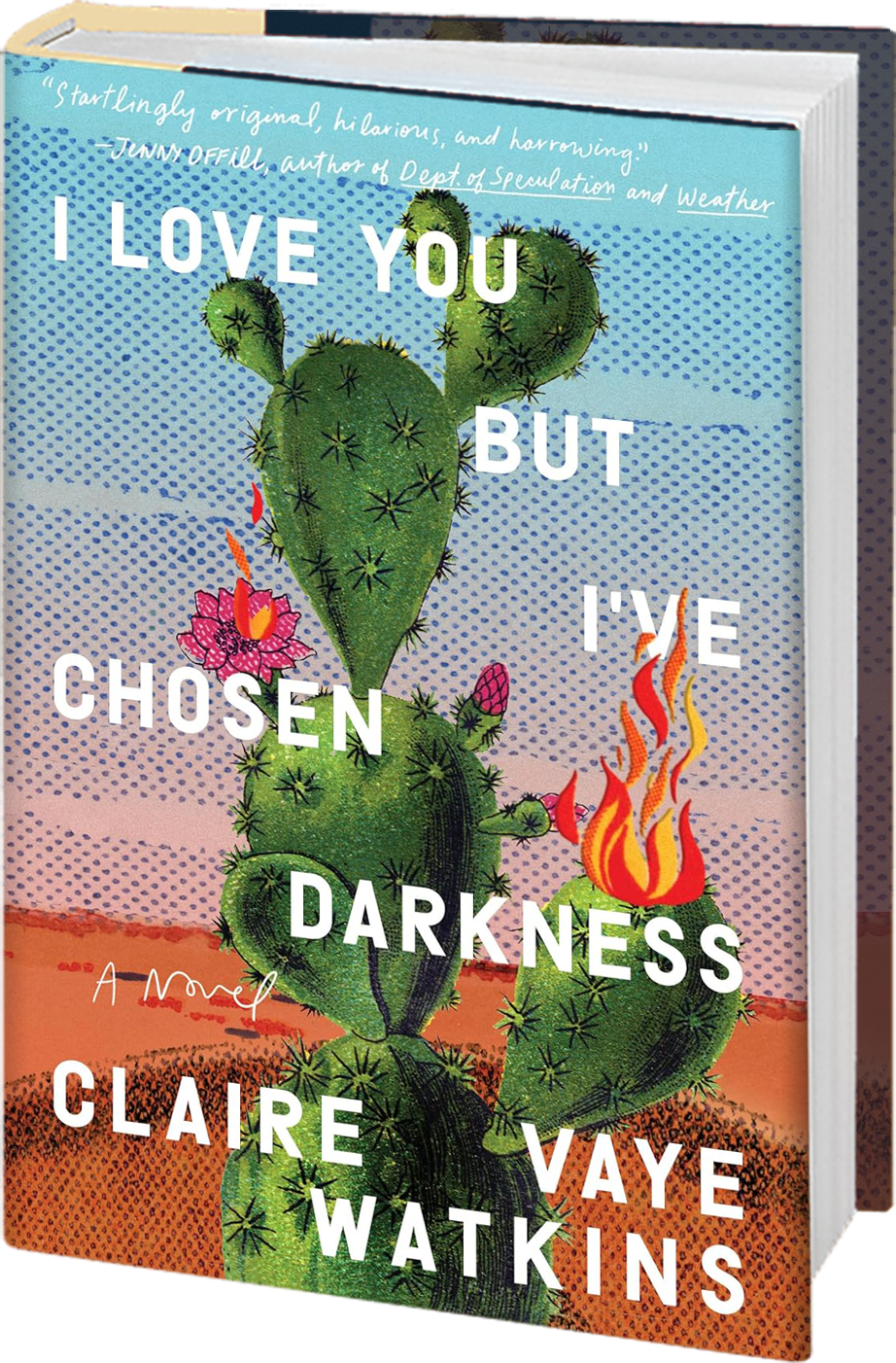 I Love You but I've Chosen Darkness by Claire Vaye Watkins
