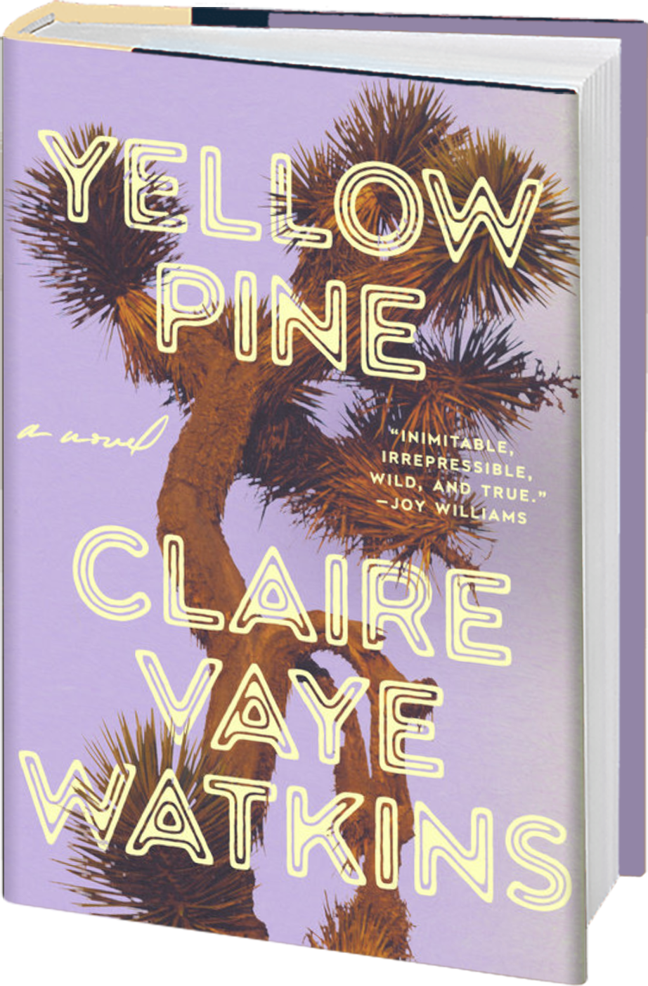 Lone Pine a novel by Claire Vaye Watkins