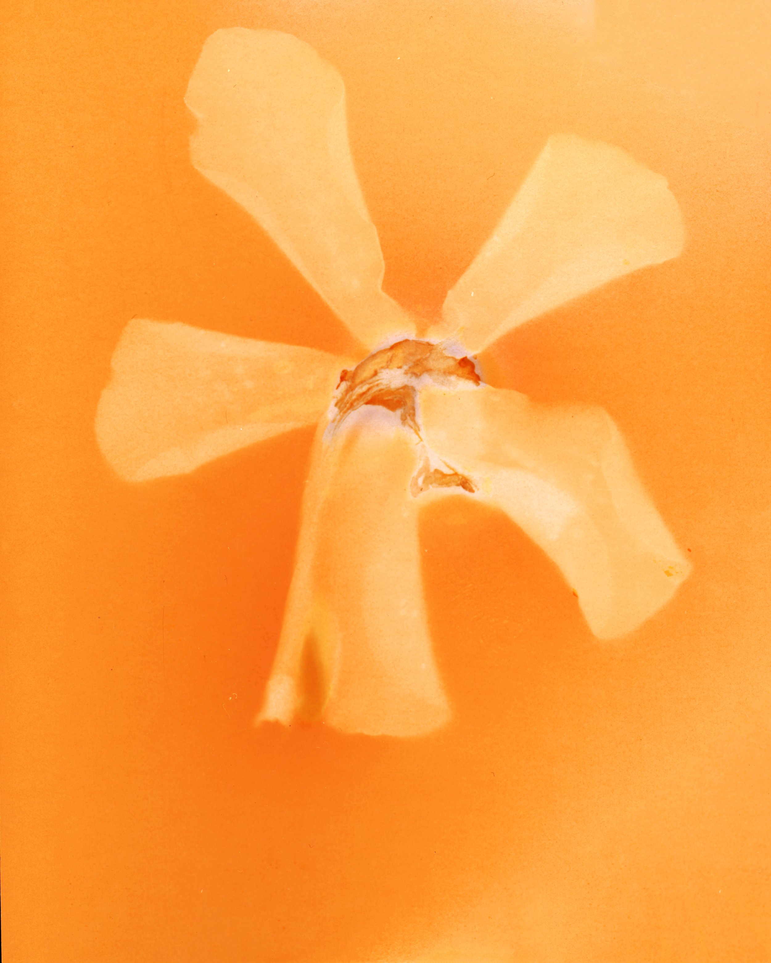 Close-up of a partially peeled orange with the peel curled back, revealing the fruit's interior, set against a bright orange background.
