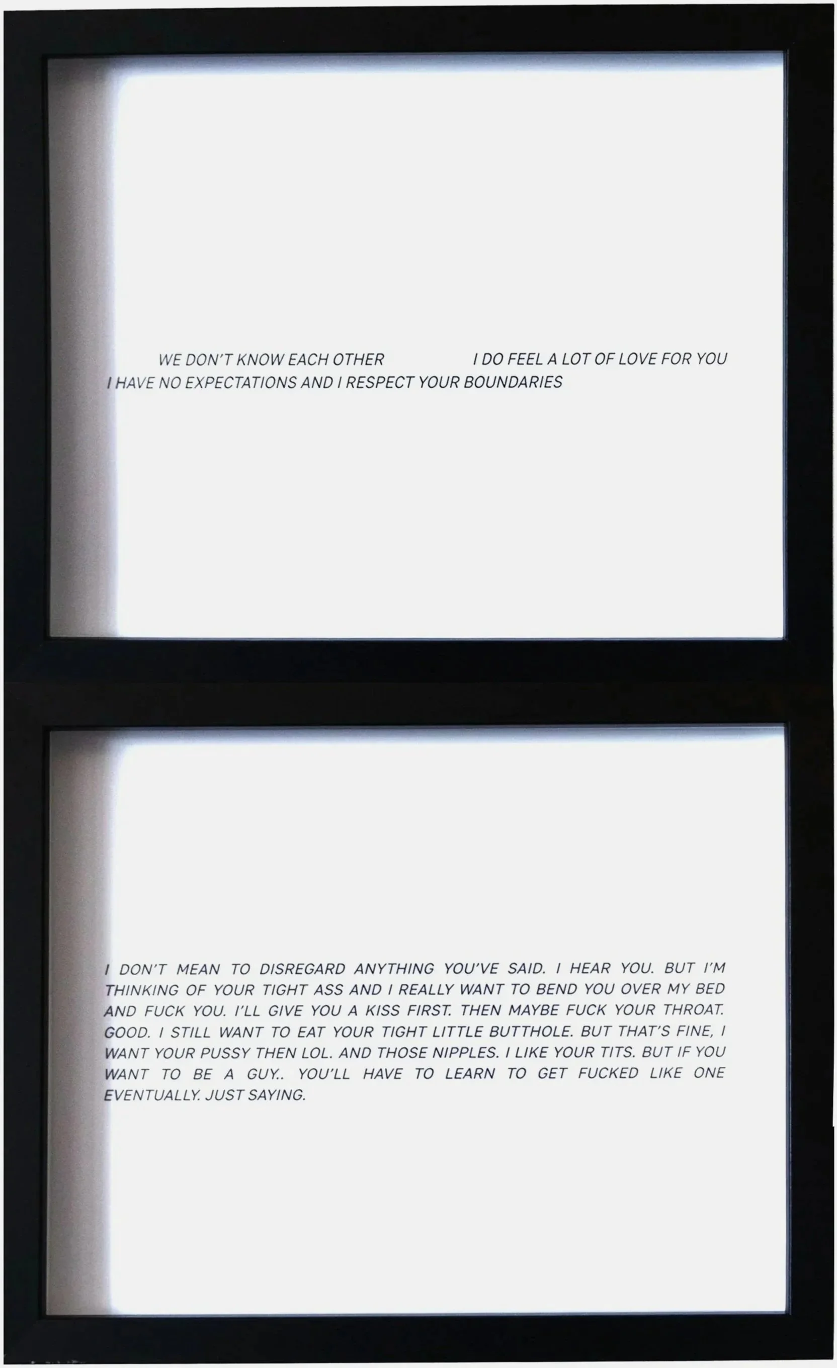 Two illuminated framed text displaying partially visible messages with explicit sexual language.