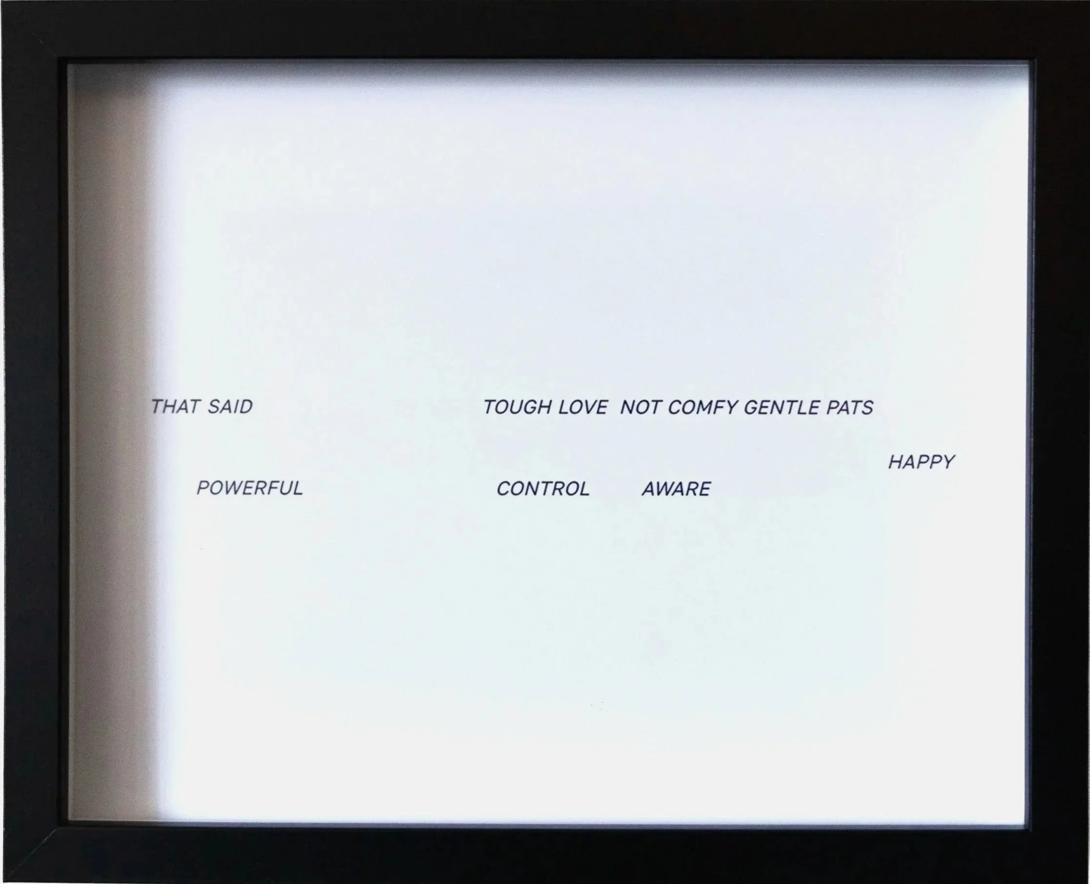 A framed text with partially visible phrases such as 'That said', 'Powerful', 'Tough love not comfy gentle pats', 'Control', 'Aware', 'Happy', and others.