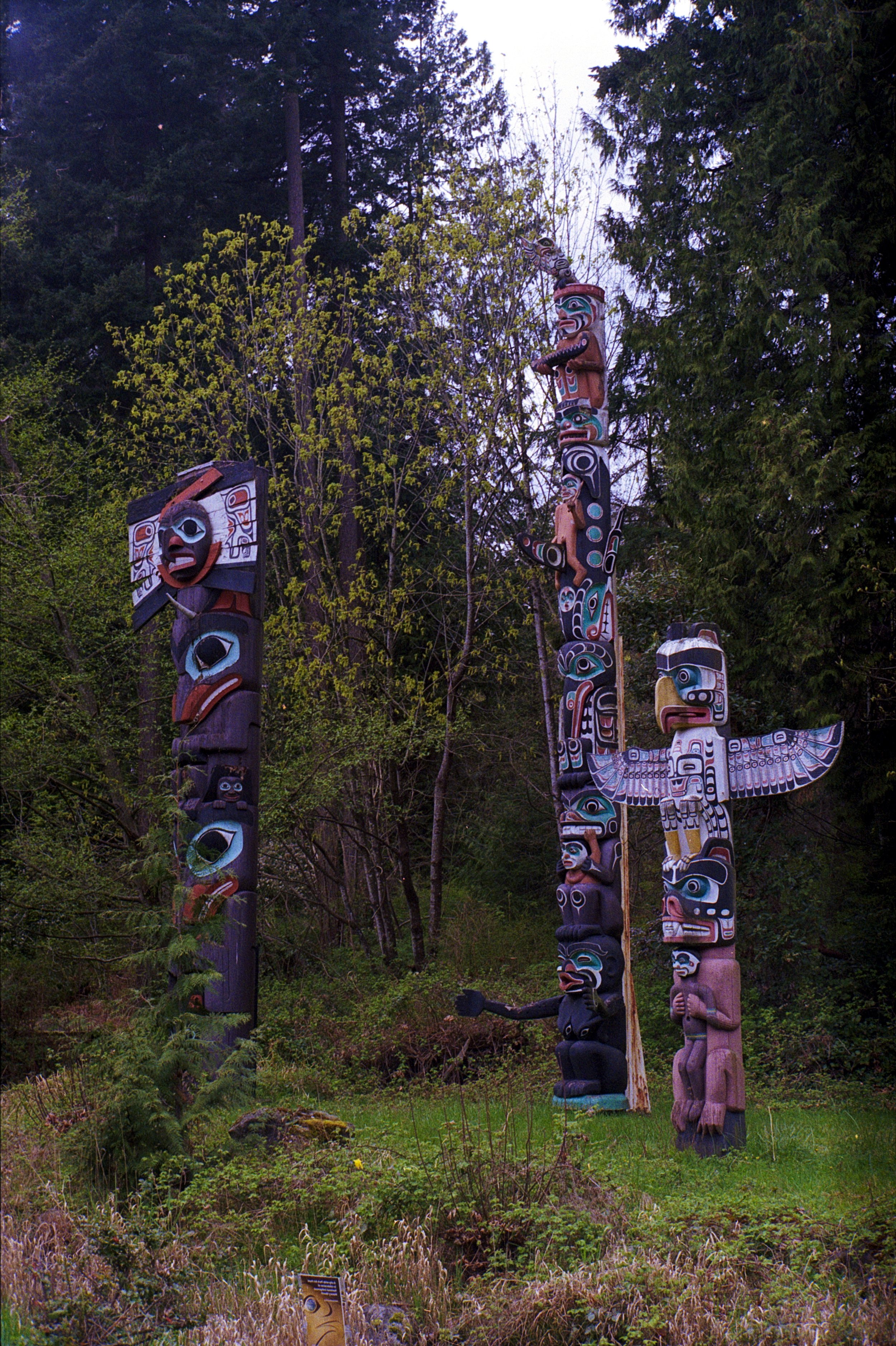 Four tall, colorful totem poles with intricate carvings and designs stand among green trees and bushes in a forest clearing.