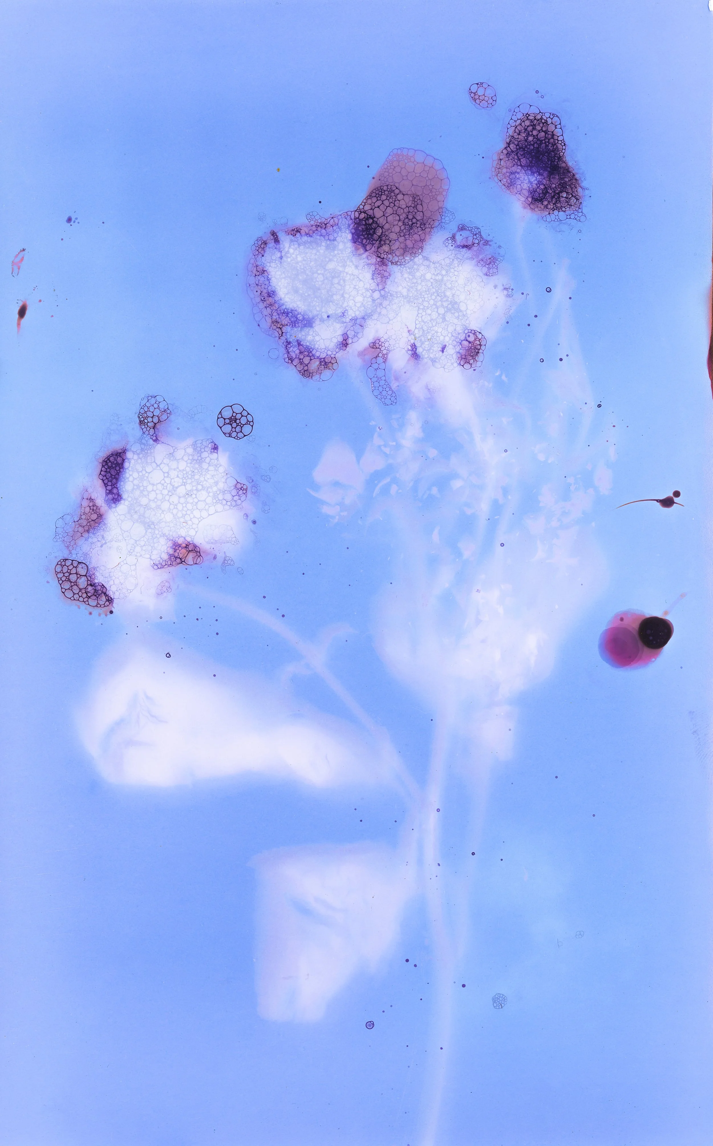 Abstract image featuring blue background with clusters of pink and purple bubbles and streaks that resemble chemical or soap bubbles.