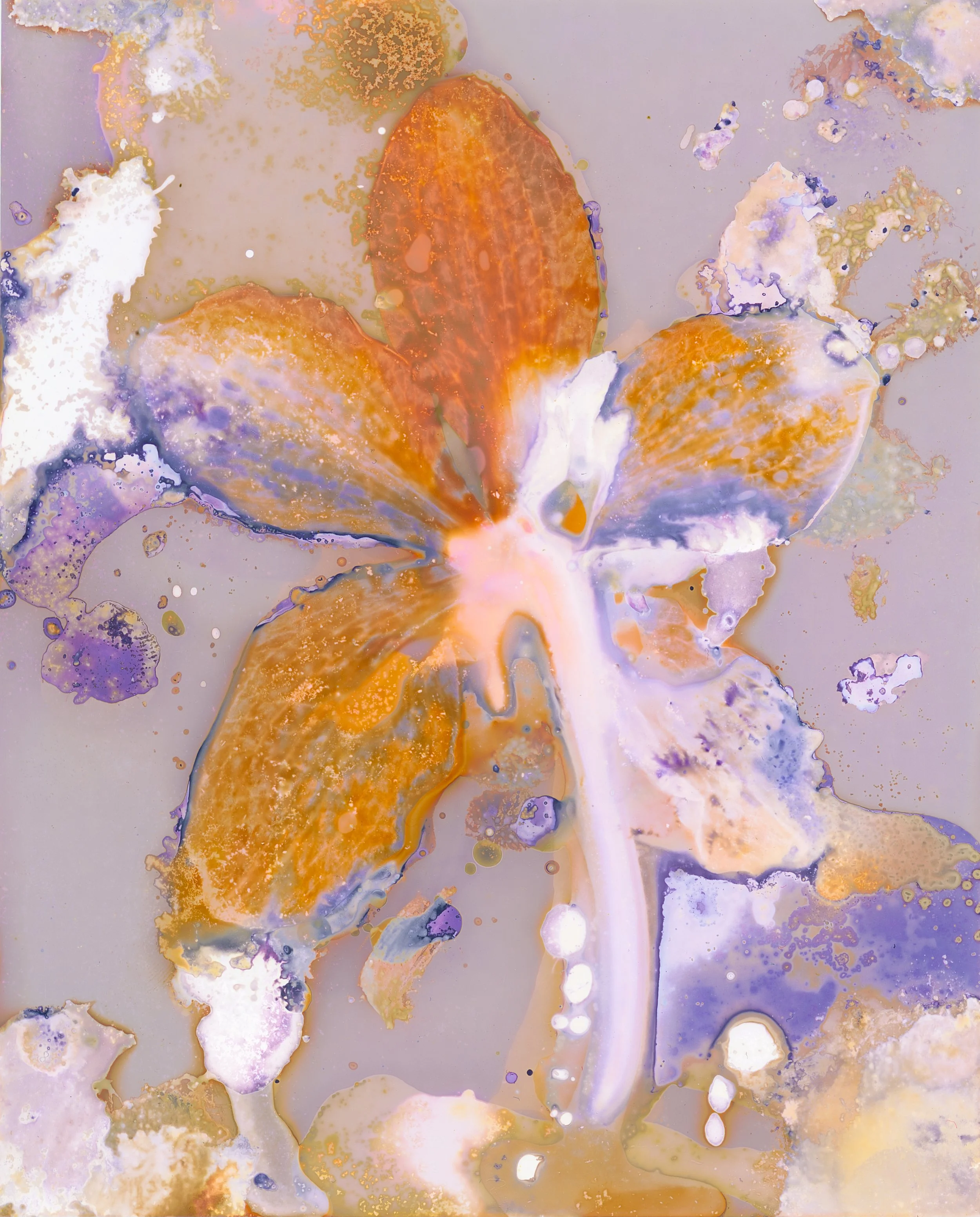 Abstract fluid art with swirling patterns in shades of orange, purple, white, and hints of yellow.