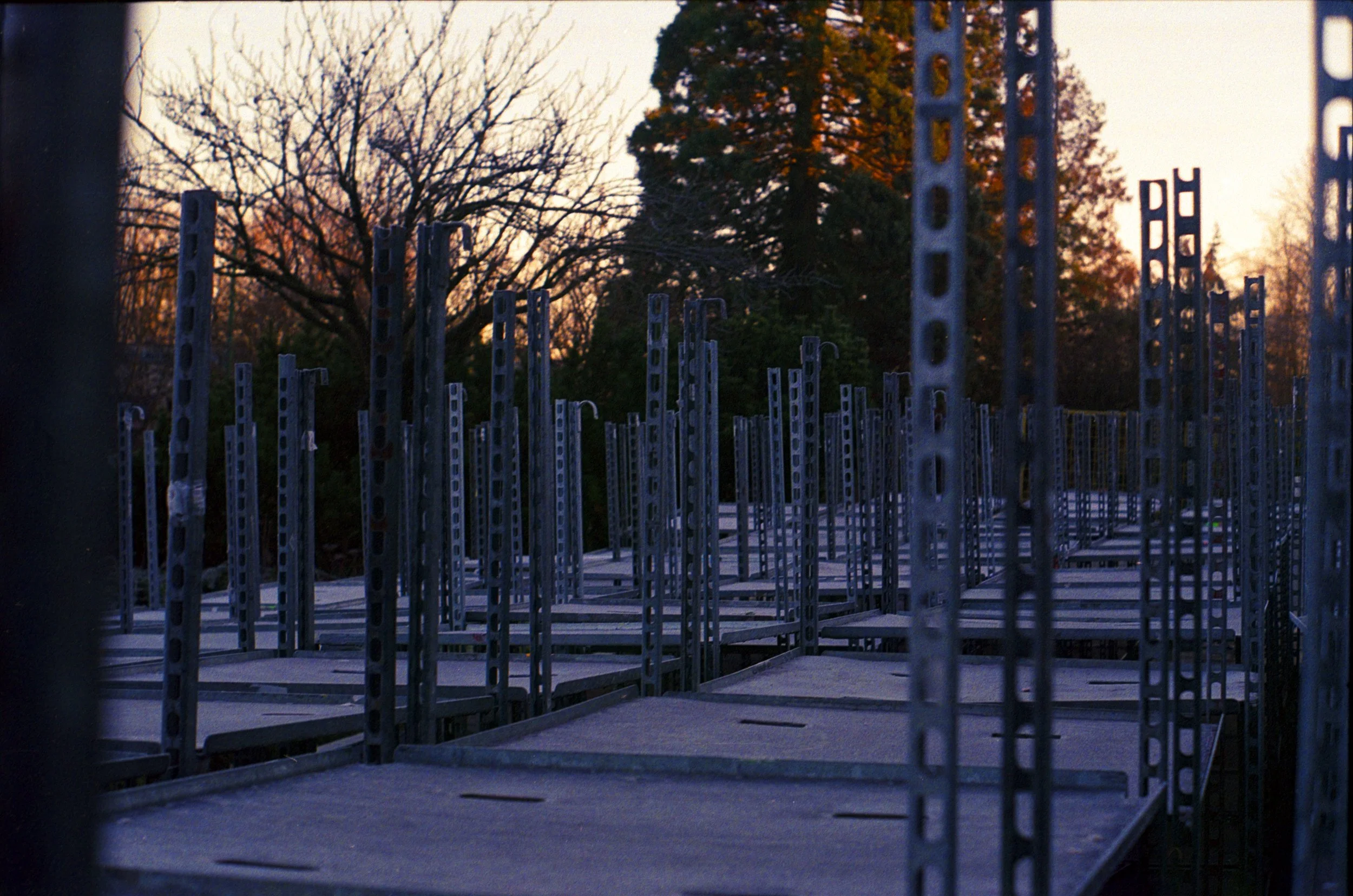 Empty metal auction carts lined up outdoors at sunset with trees in the background.