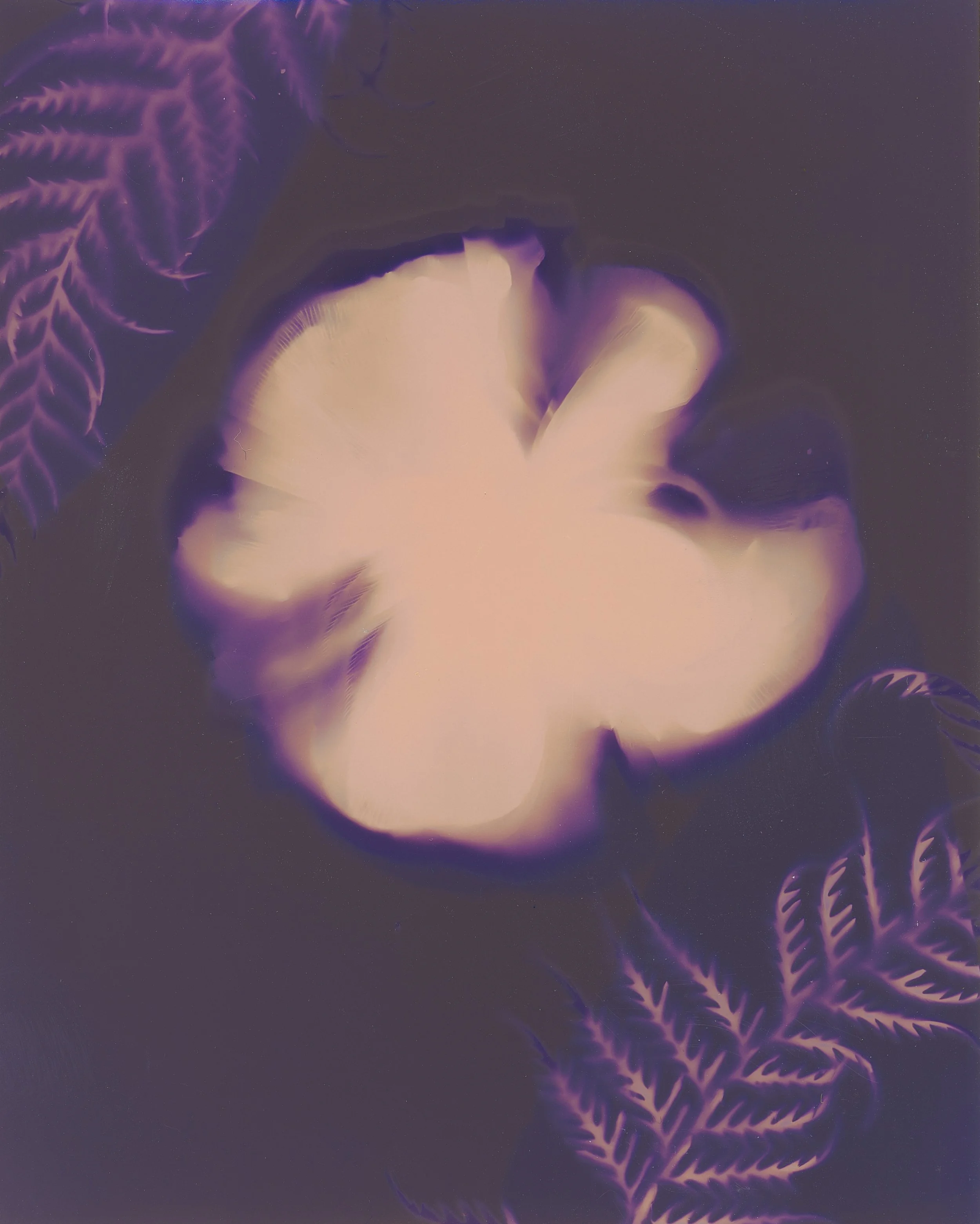 A stylized abstract image featuring a branch of ferns in the upper left corner and several smaller ferns in the lower right, with a large, smooth, pale-colored mushroom at the center, all with a purple and black color scheme.