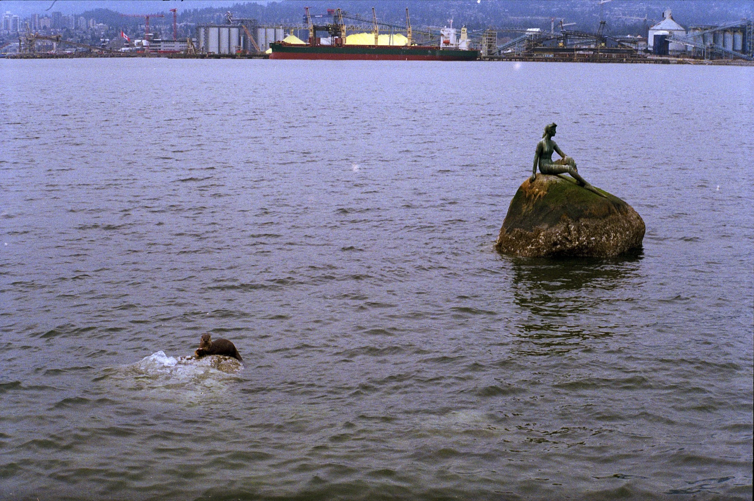 Stanley Park Sea Wall with a statue of a mermaid sitting on a rock in the water on the right, and an otter eating fish on a nearby rock on the left. 